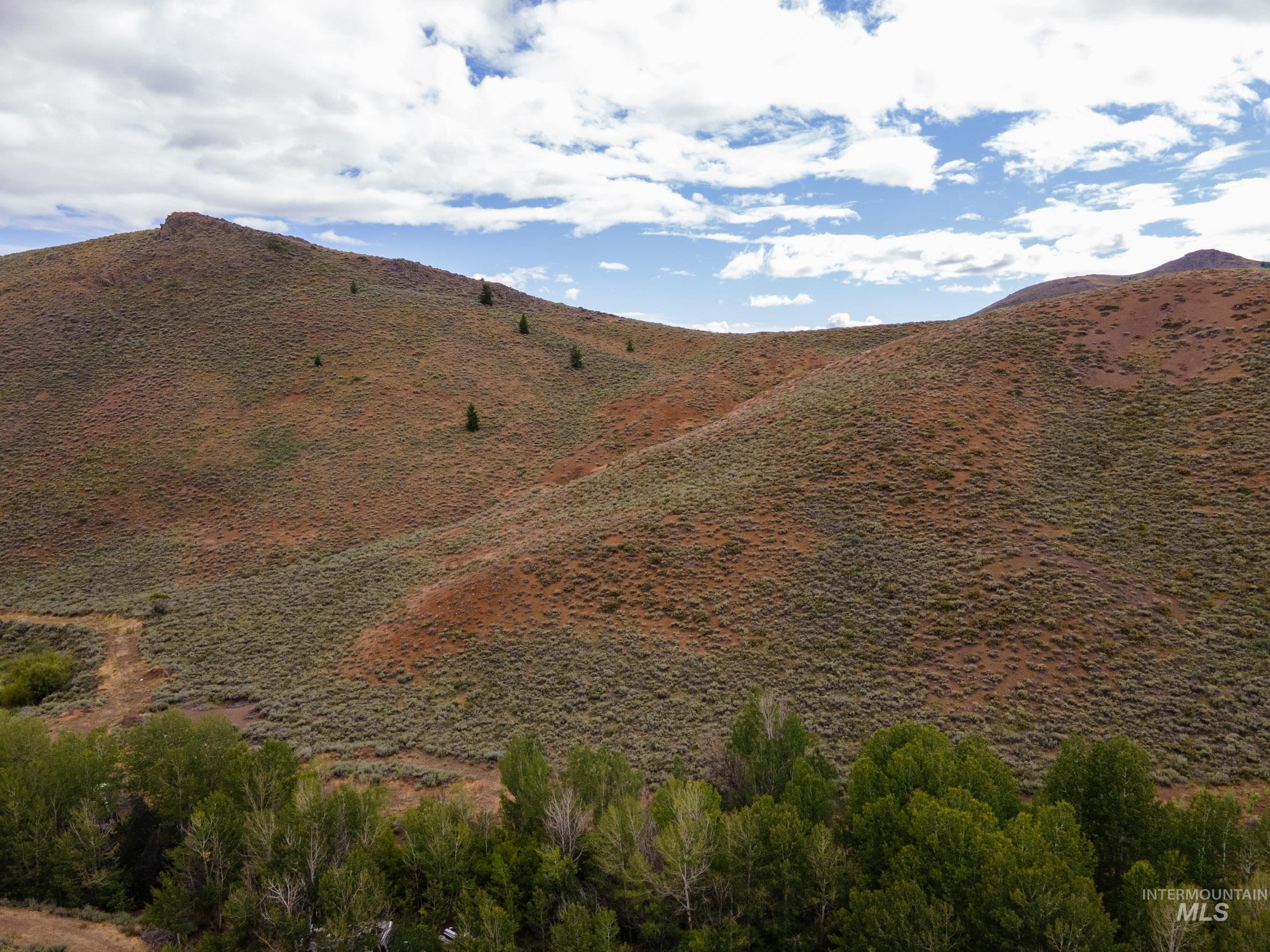 135 Bullion Gulch Rd Property Photo 4