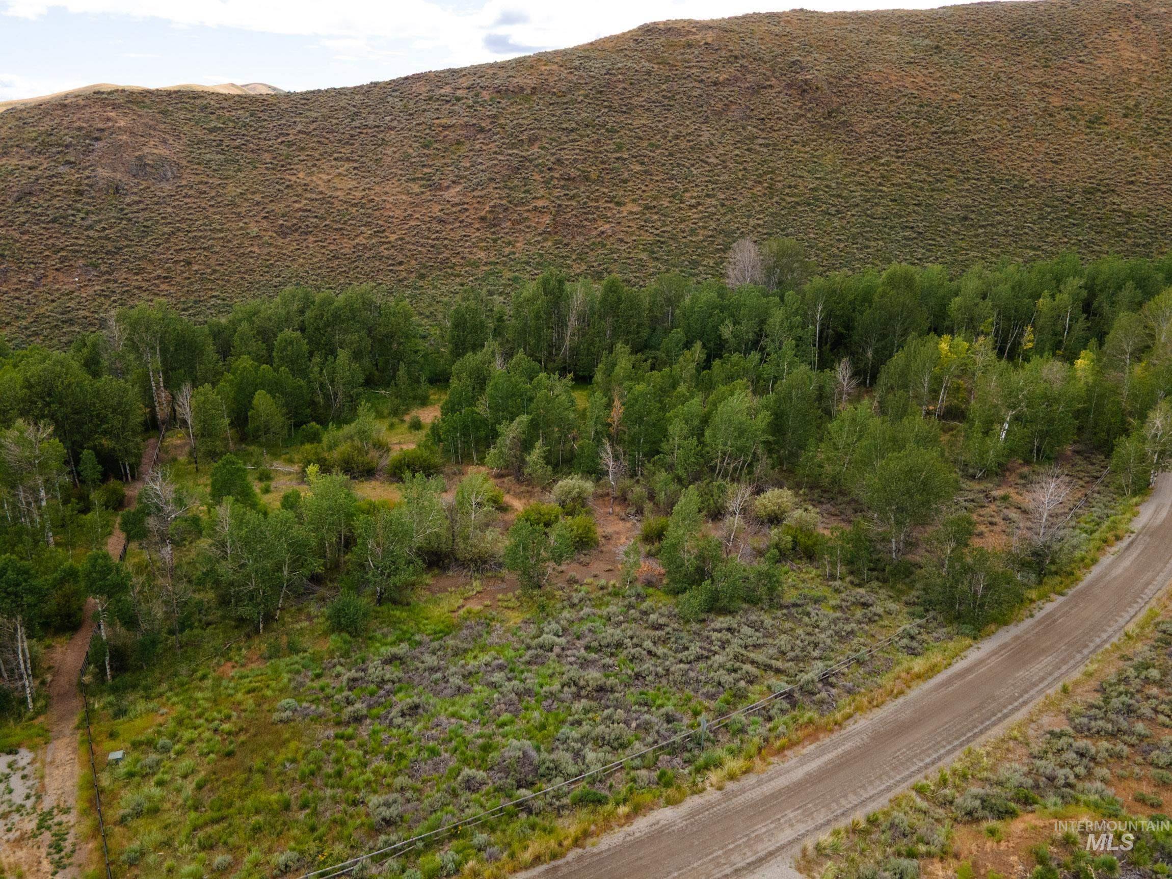 135 Bullion Gulch Rd Property Photo 14