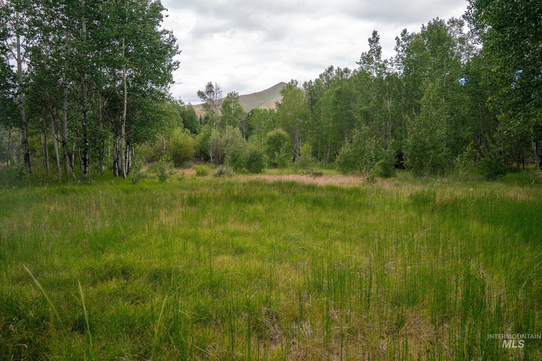 135 Bullion Gulch Rd Property Photo 15