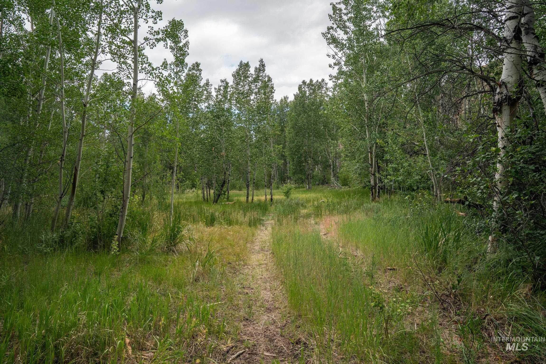 135 Bullion Gulch Rd Property Photo 16