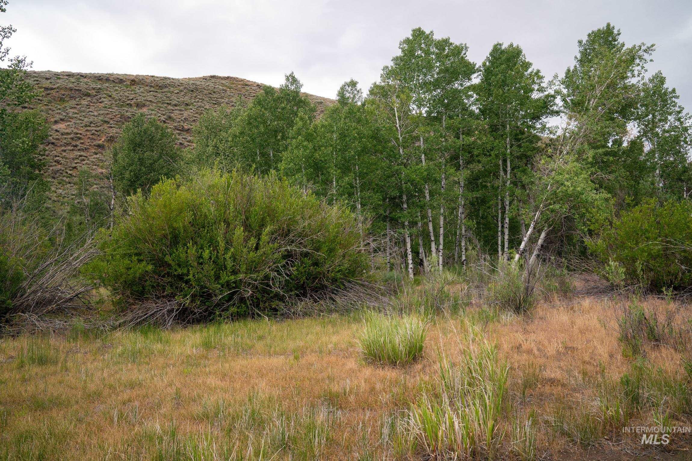 135 Bullion Gulch Rd Property Photo 18