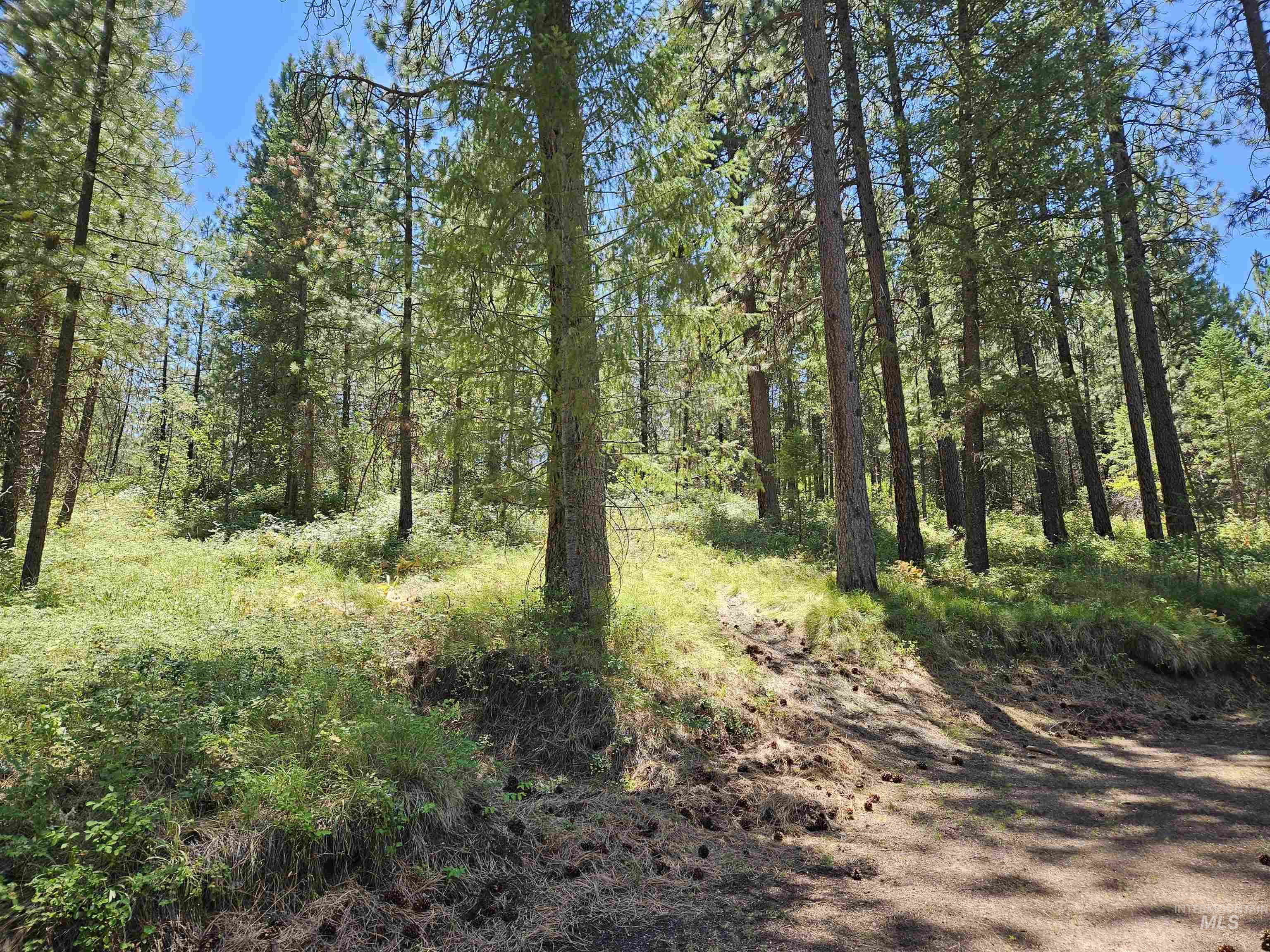 Tbd Forest Circle Property Photo 2