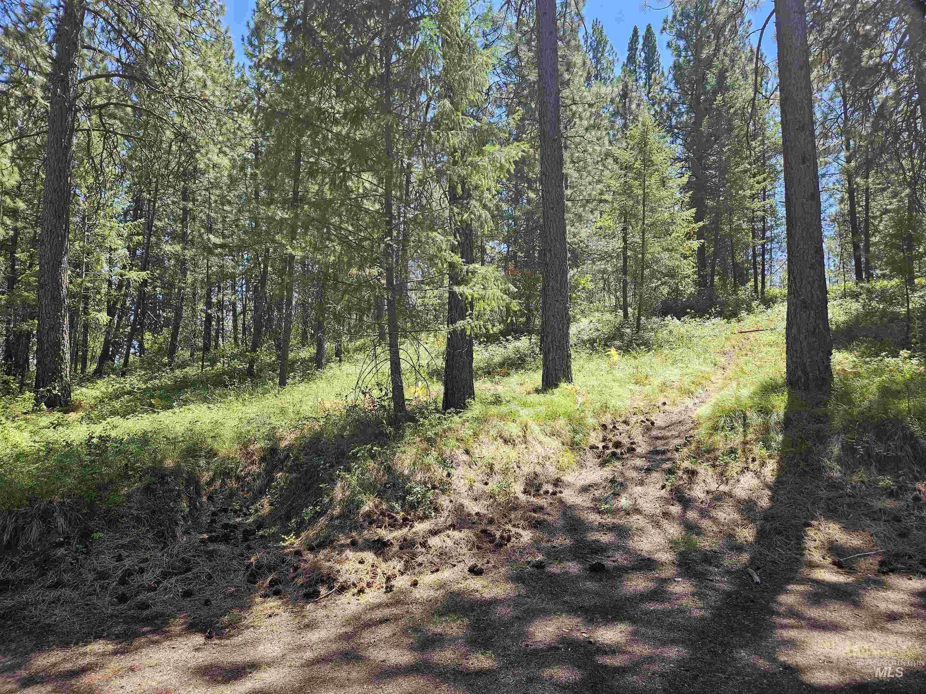 Tbd Forest Circle Property Photo 3