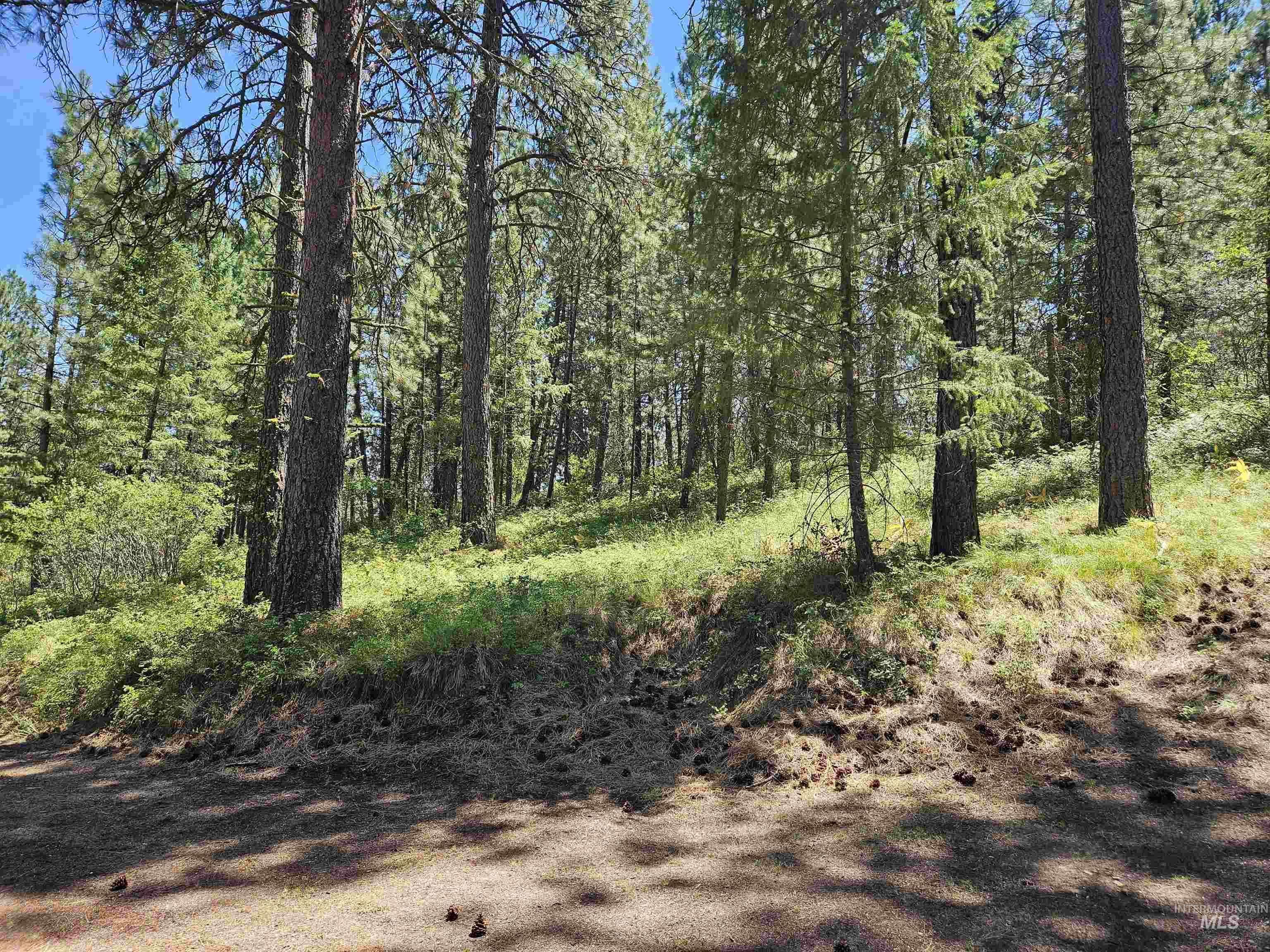 Tbd Forest Circle Property Photo 4