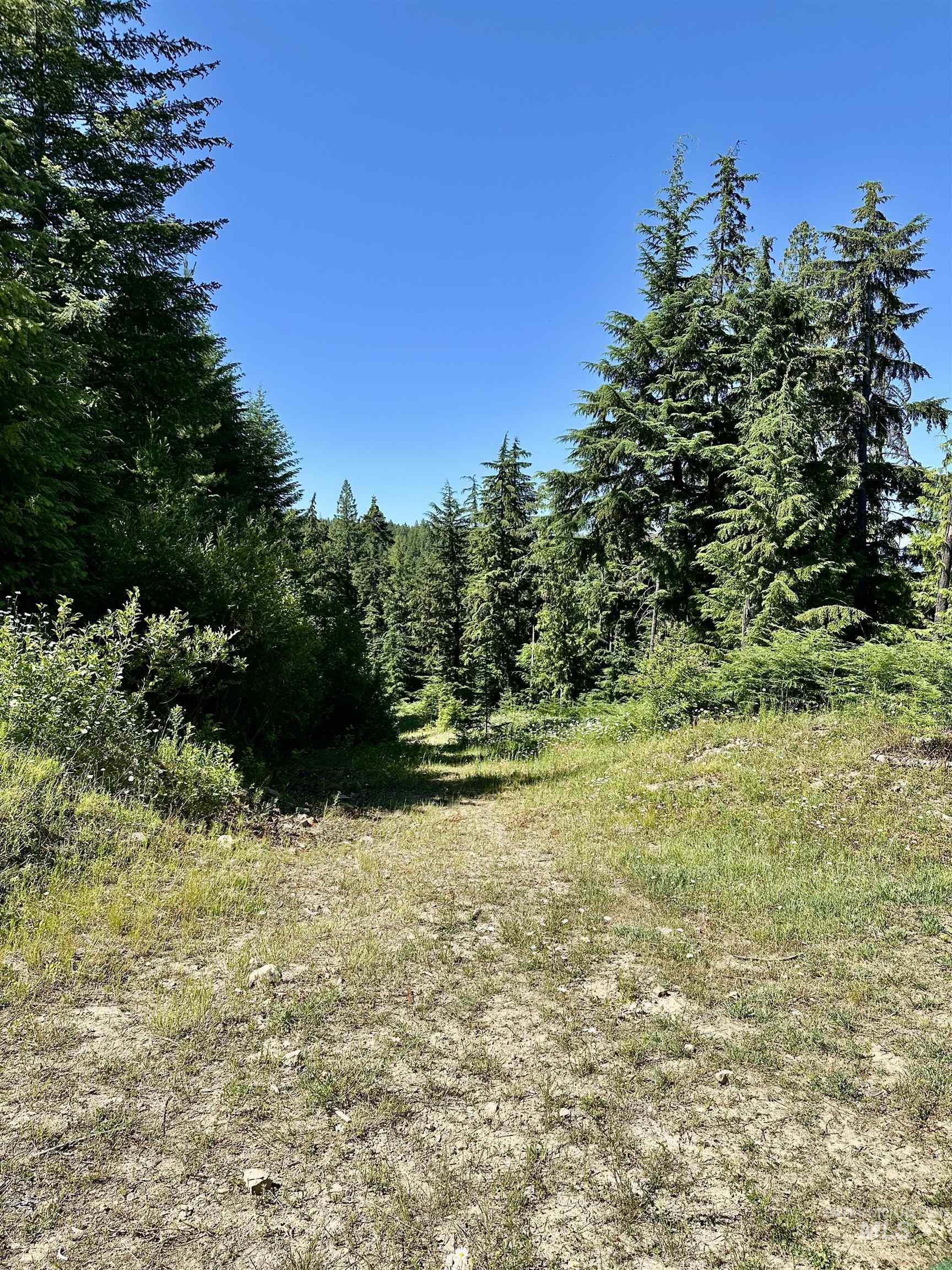 1522 N Alpine Property Photo 24