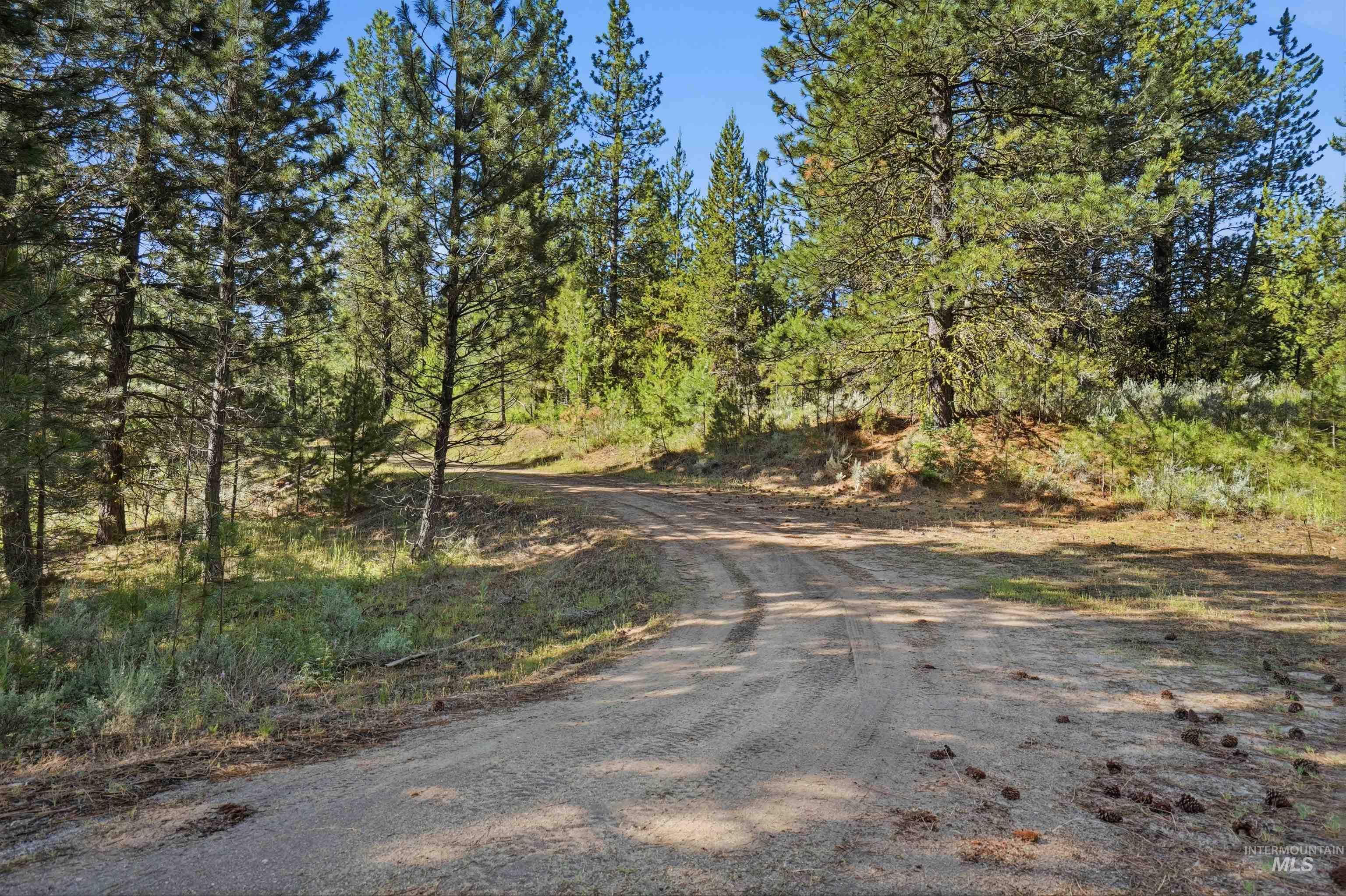 15 Coit Dr Property Photo 6