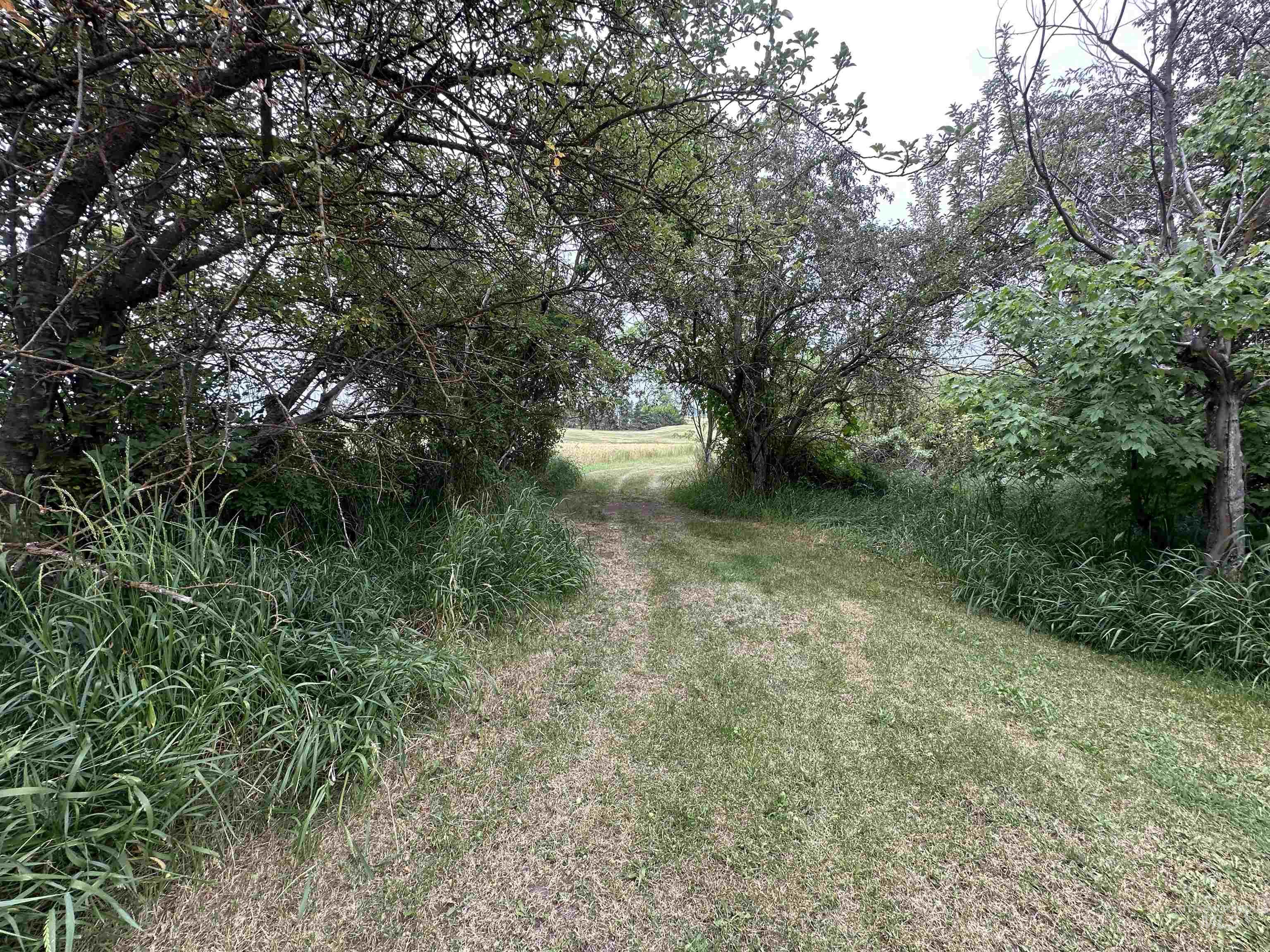 811 Florence Avenue Property Photo 45