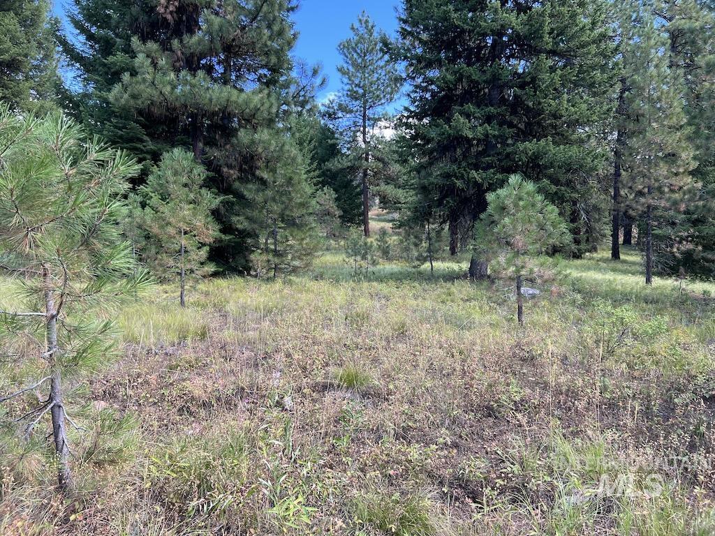 #4 Whitefield Lane Property Photo 9