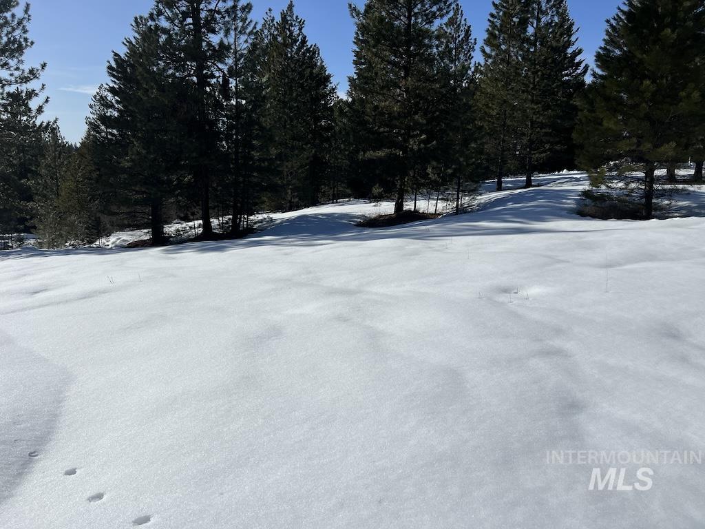 #4 Whitefield Lane Property Photo 11