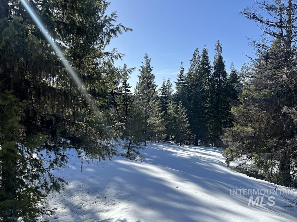 #4 Whitefield Lane Property Photo 16