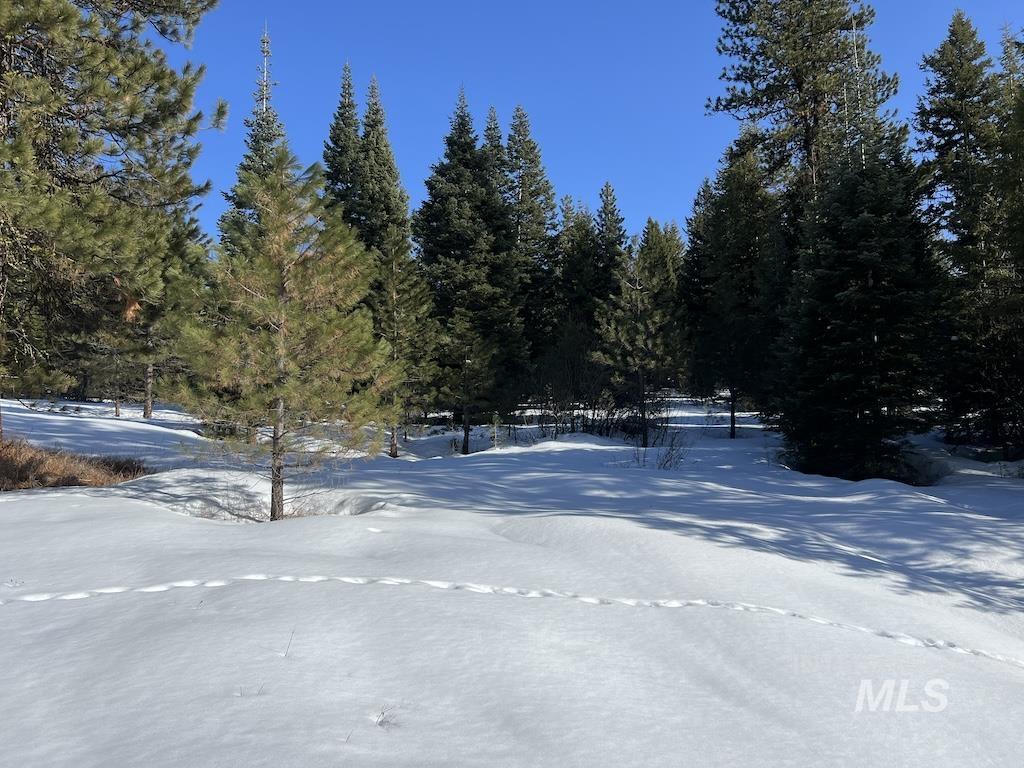 #5 Whitefield Lane Property Photo 10