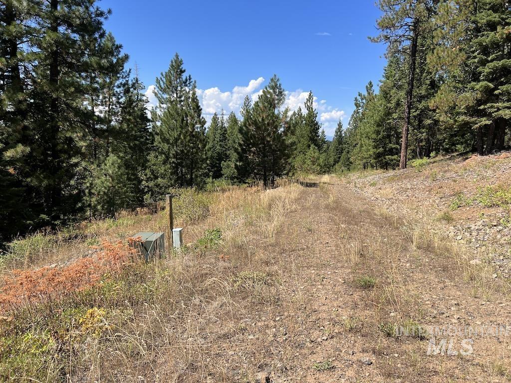 #5 Whitefield Lane Property Photo 22