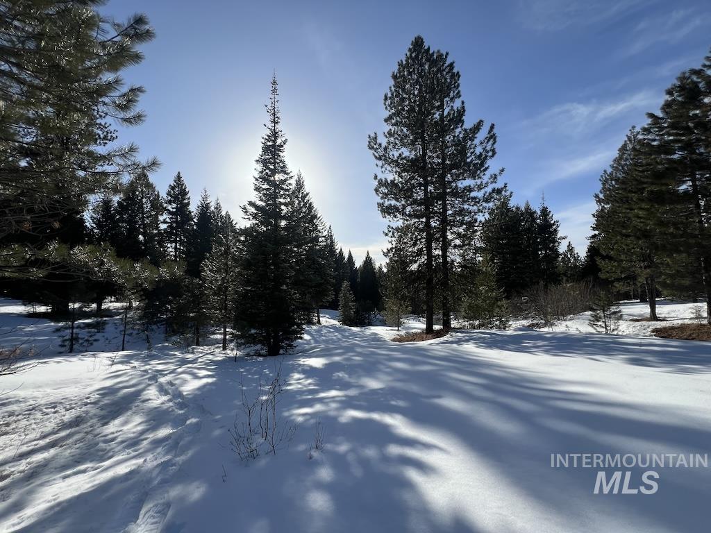 #7 Whitefield Lane Property Photo 8