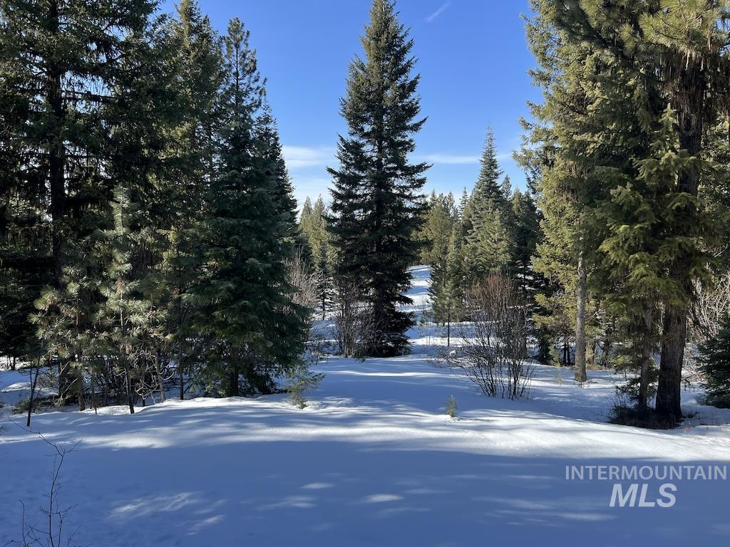 #7 Whitefield Lane Property Photo 11