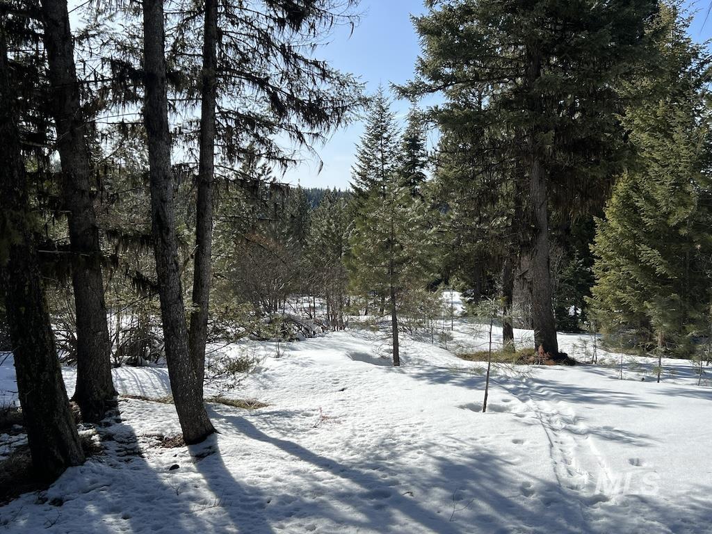 #8 Whitefield Lane Property Photo 14