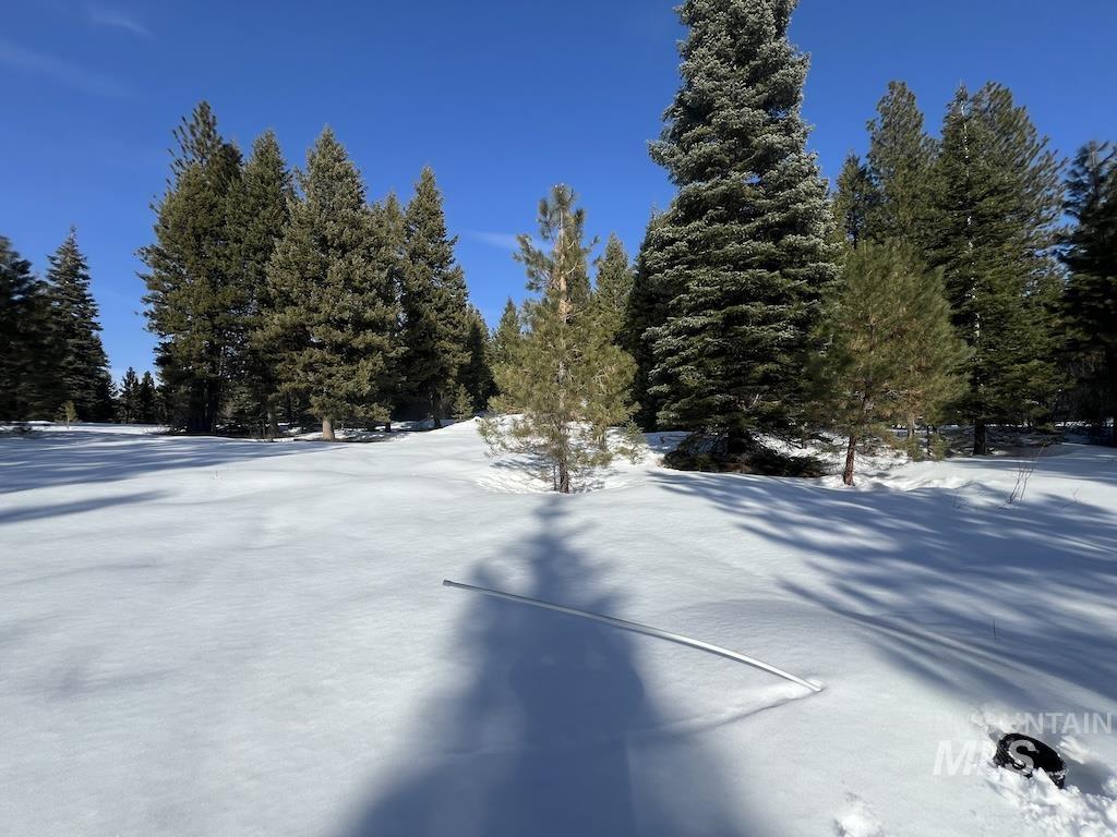 #8 Whitefield Lane Property Photo 16