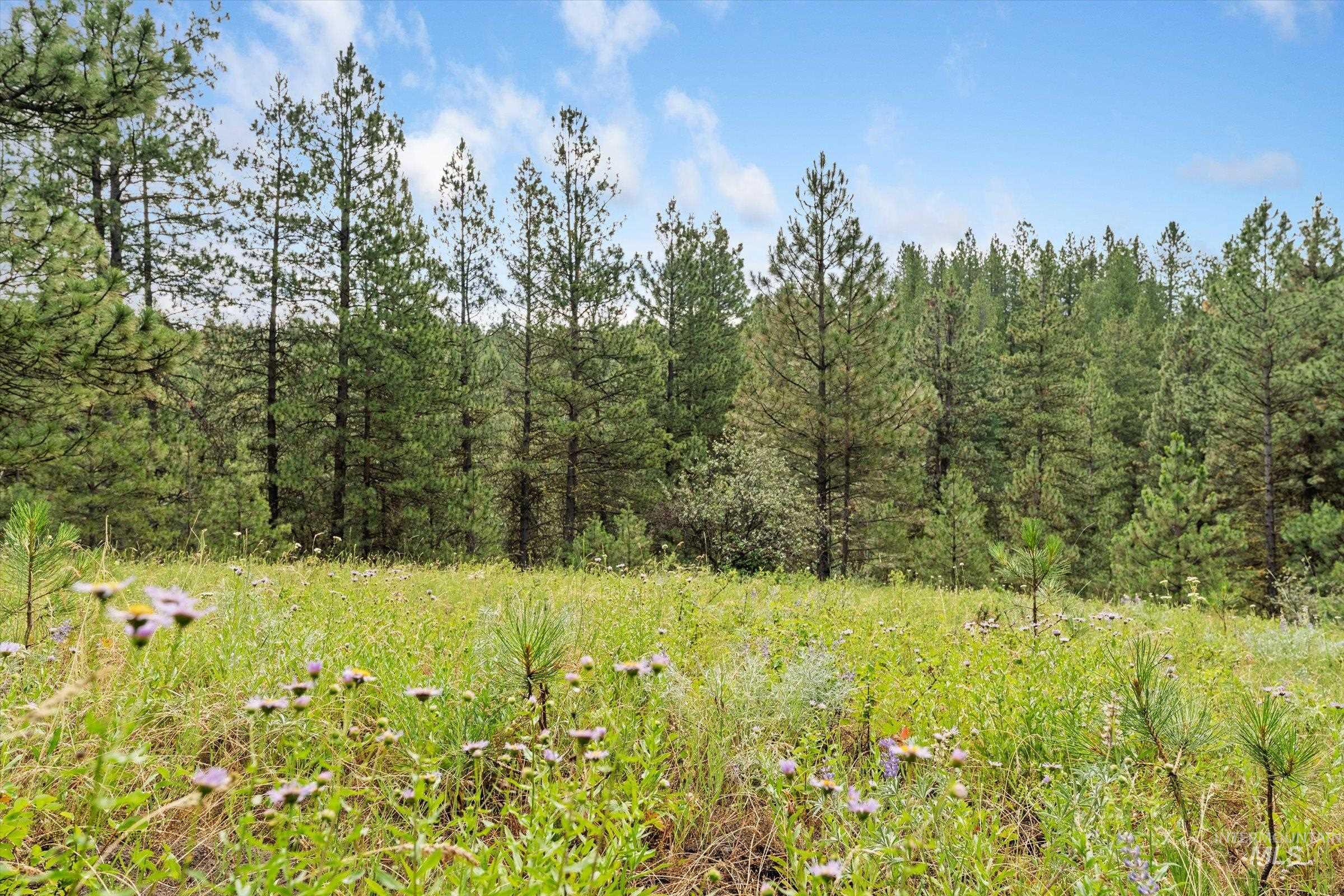 Tbd Sunset Trail Property Photo 5