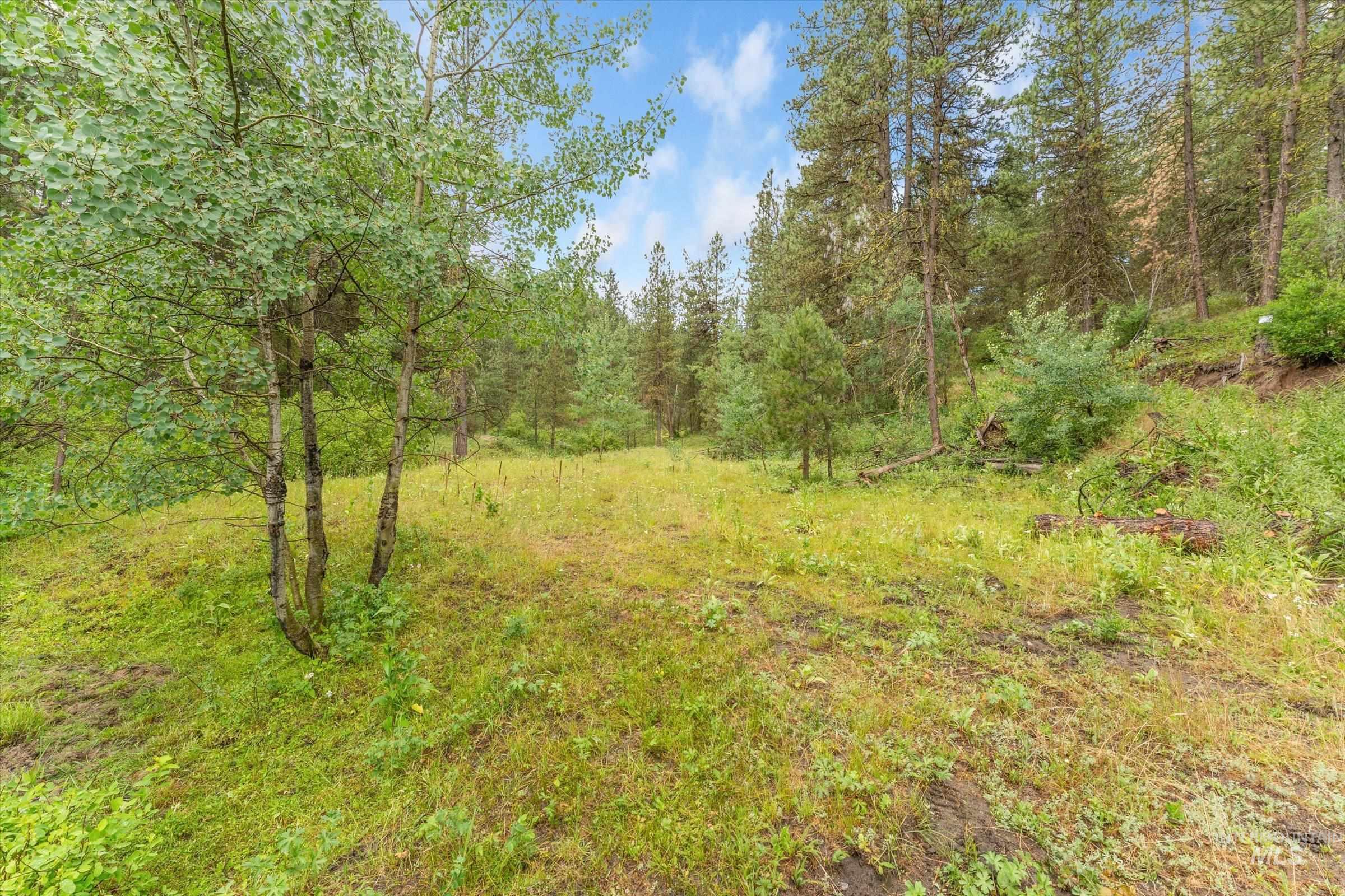 Tbd Sunset Trail Property Photo 7