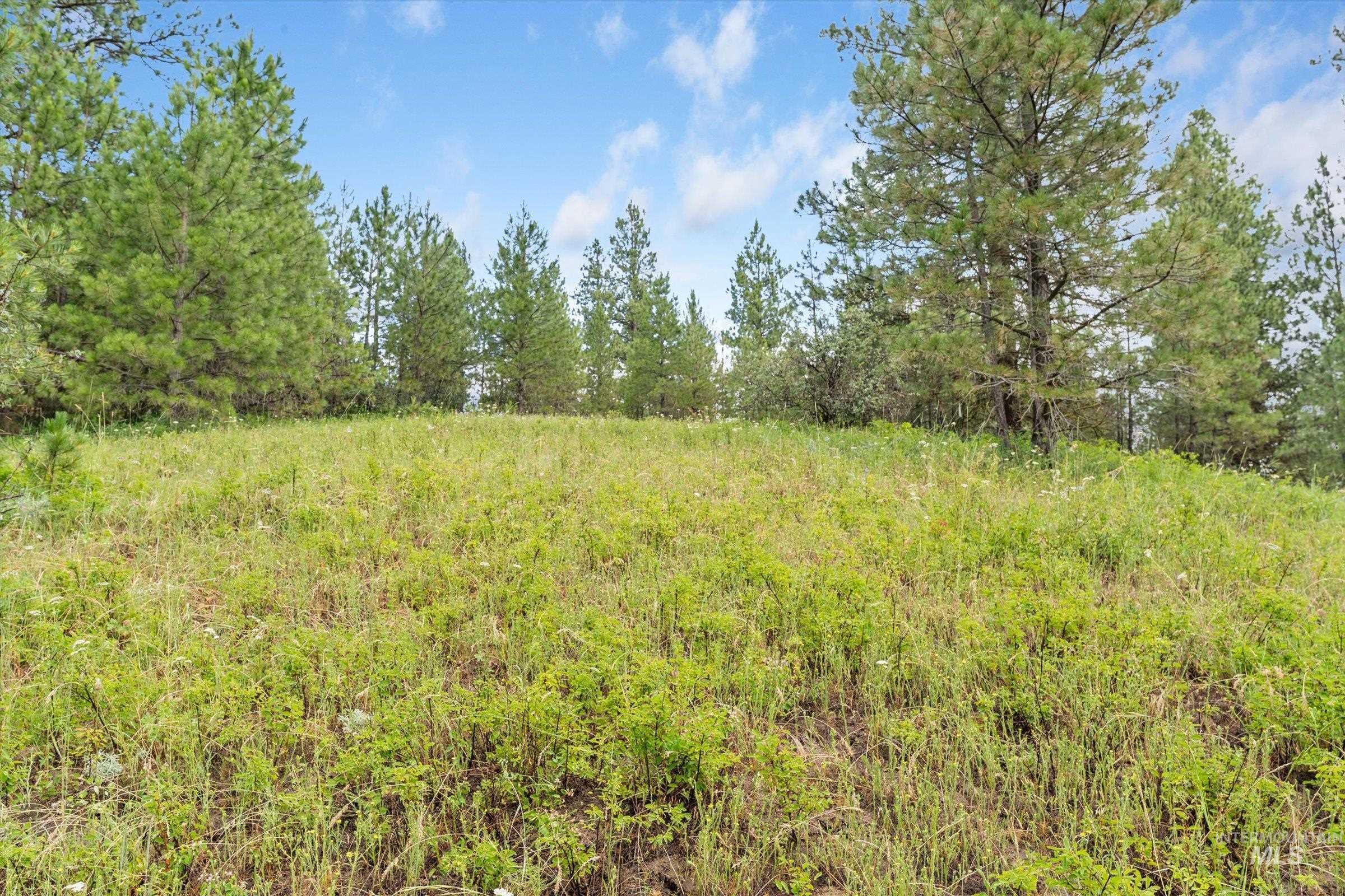 Tbd Sunset Trail Property Photo 11