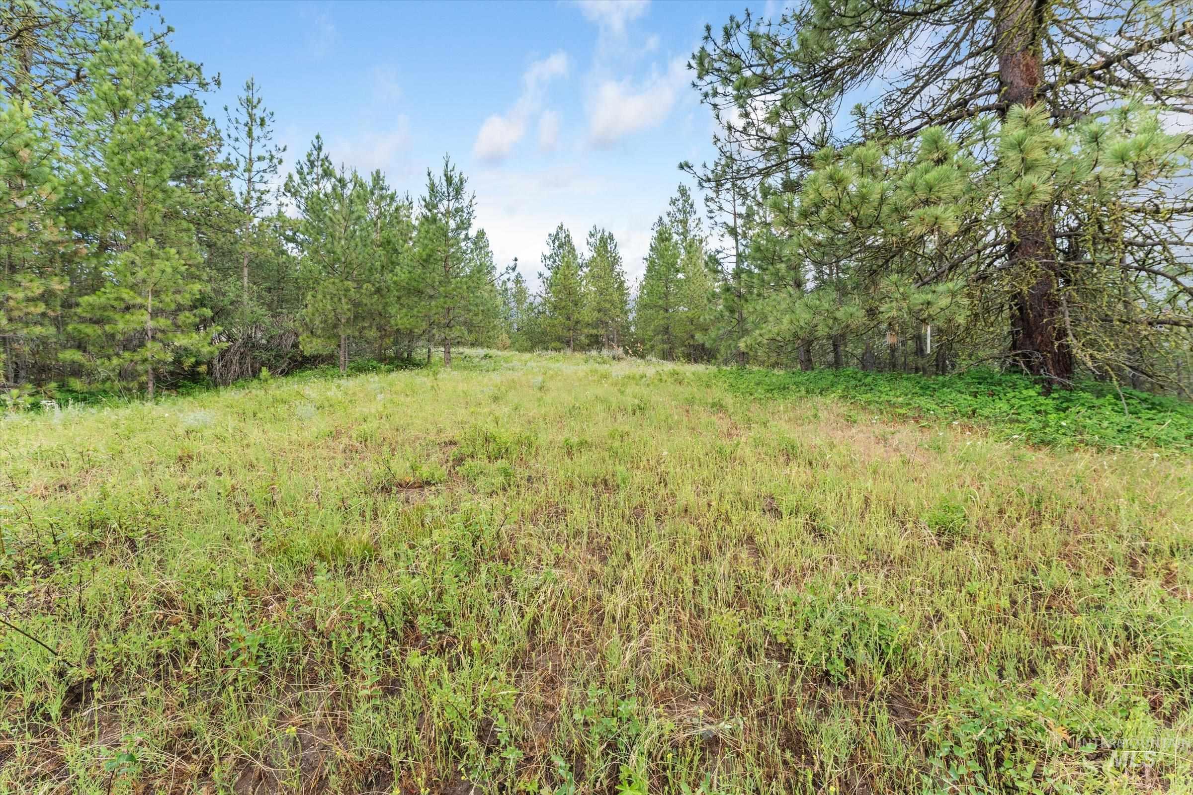 Tbd Sunset Trail Property Photo 15