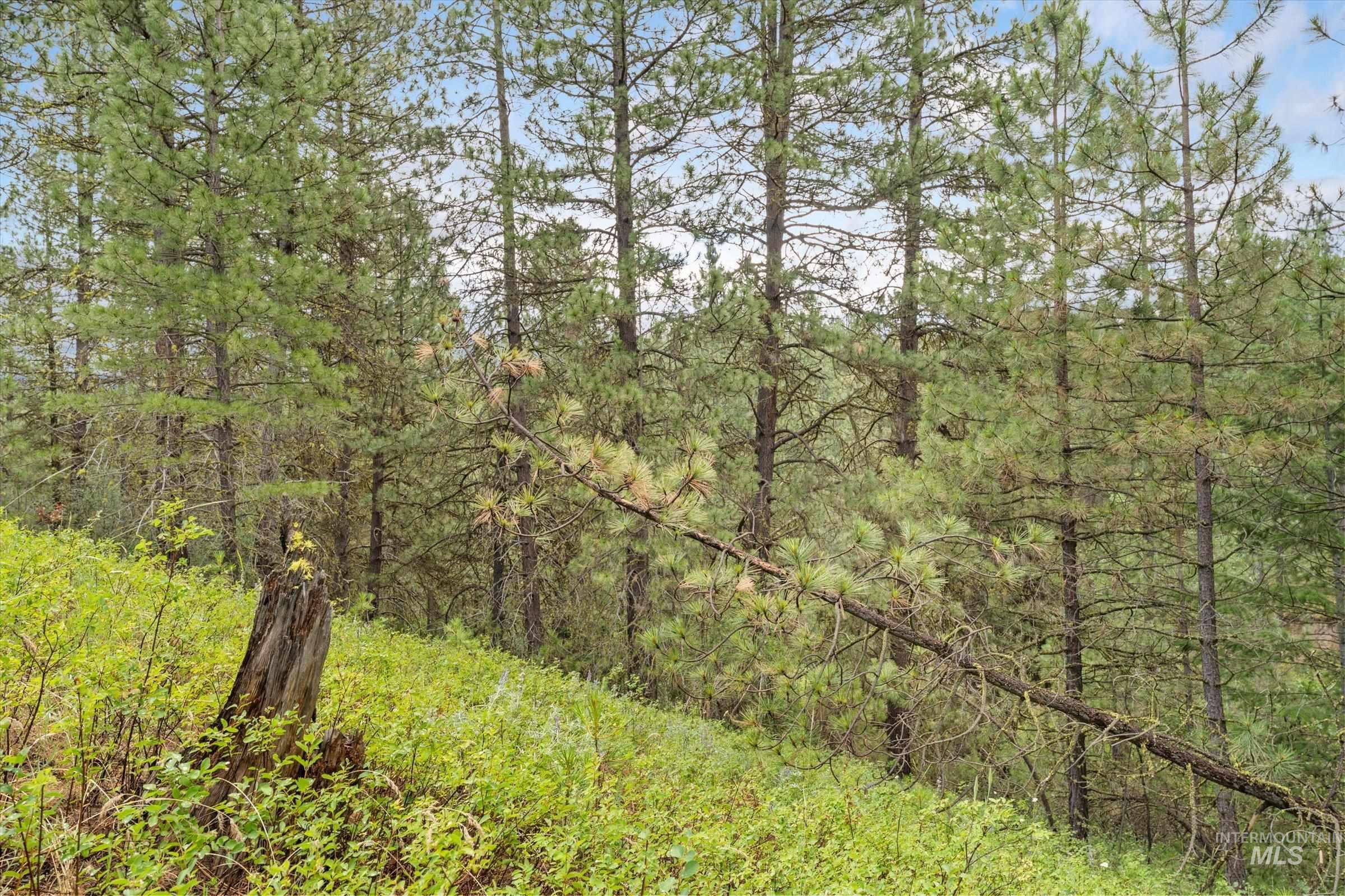 Tbd Sunset Trail Property Photo 27