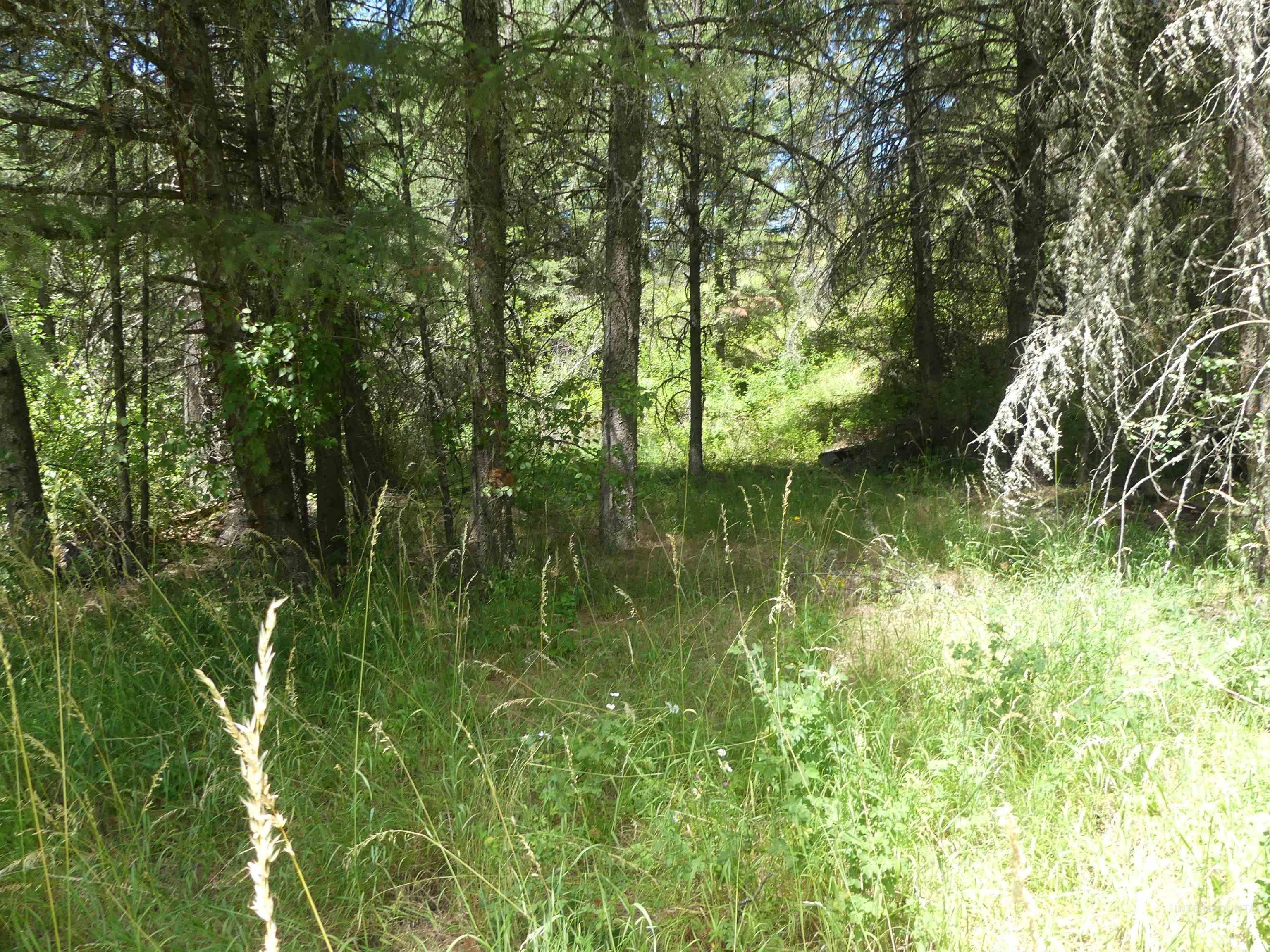 46601 Little Canyon Rd Property Photo 5