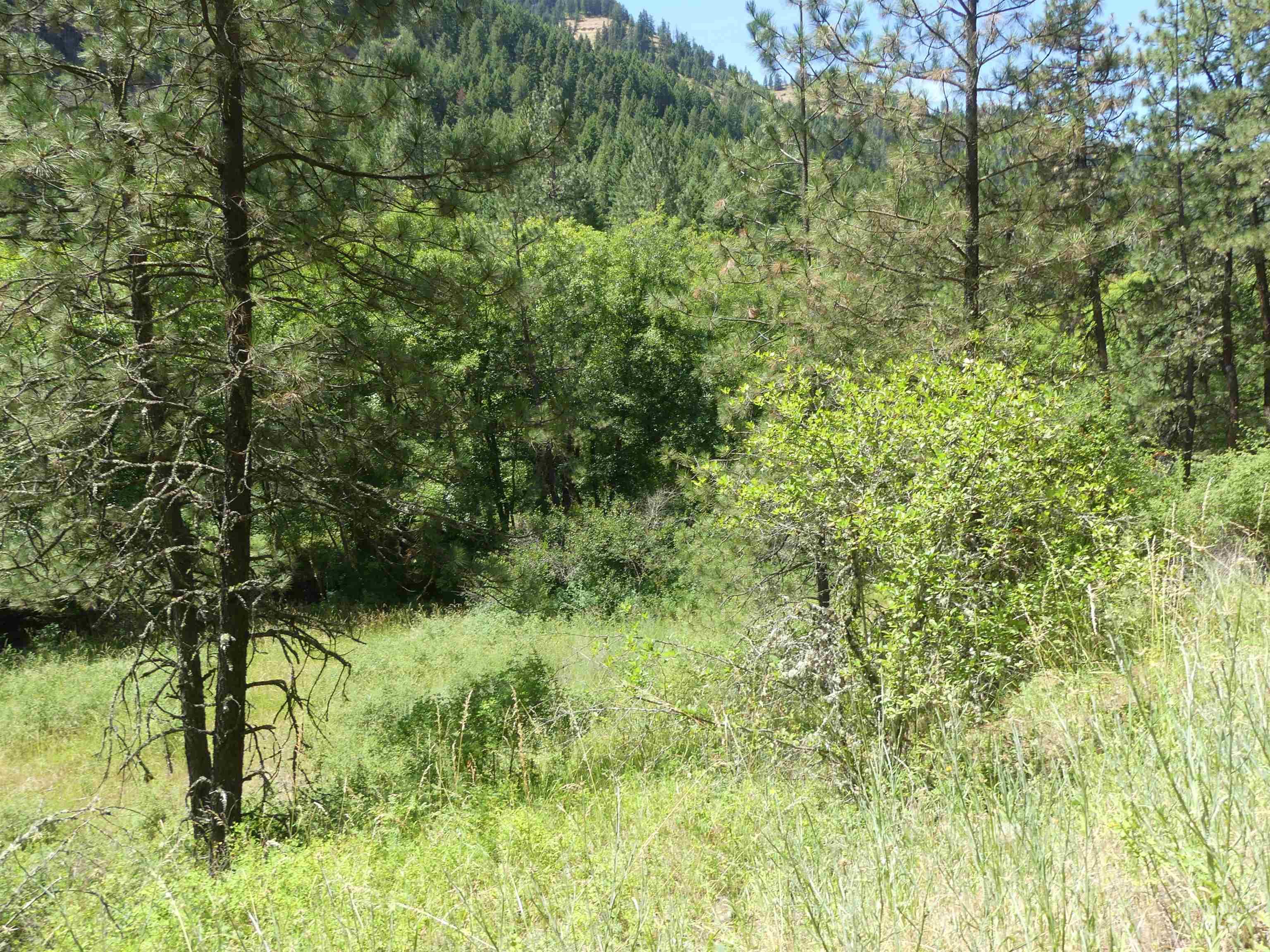 46601 Little Canyon Rd Property Photo 6