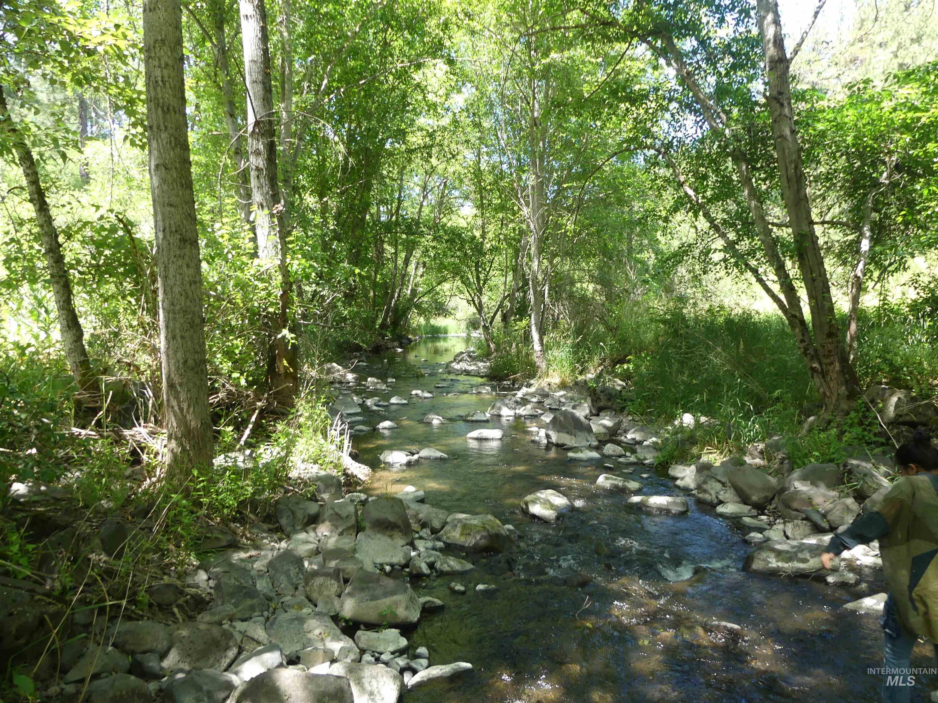 46601 Little Canyon Rd Property Photo 11