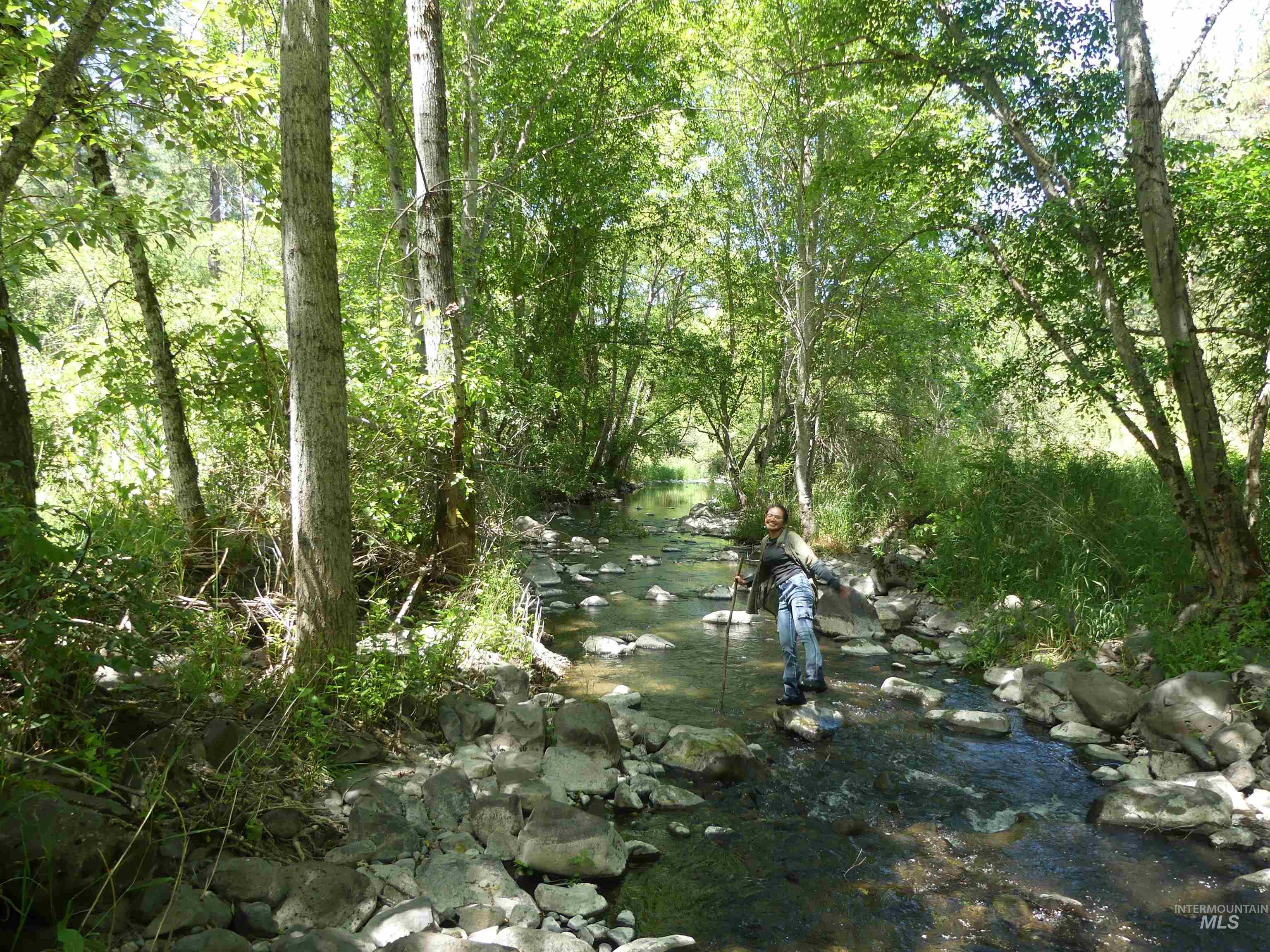 46601 Little Canyon Rd Property Photo 12