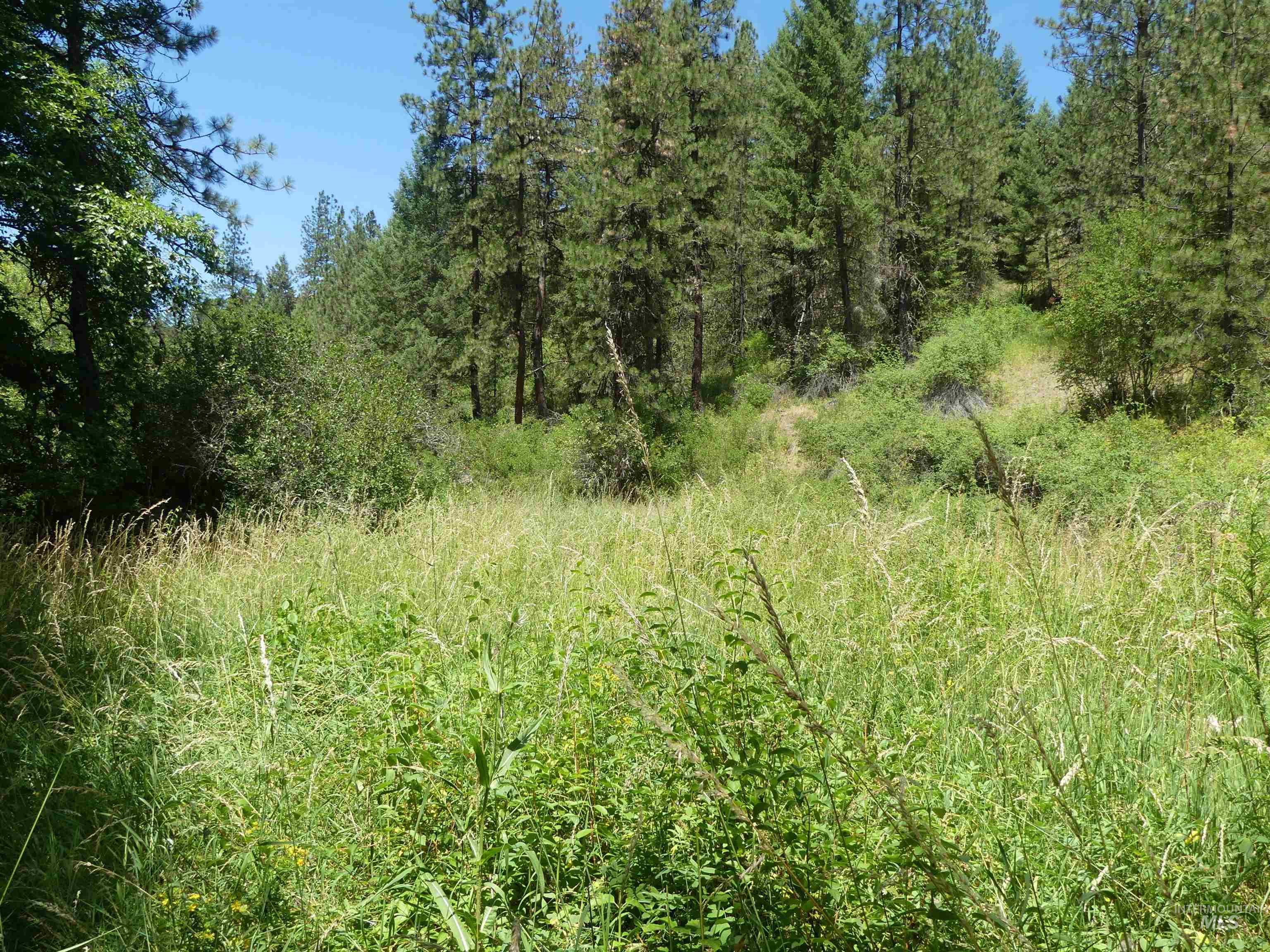 46601 Little Canyon Rd Property Photo 16