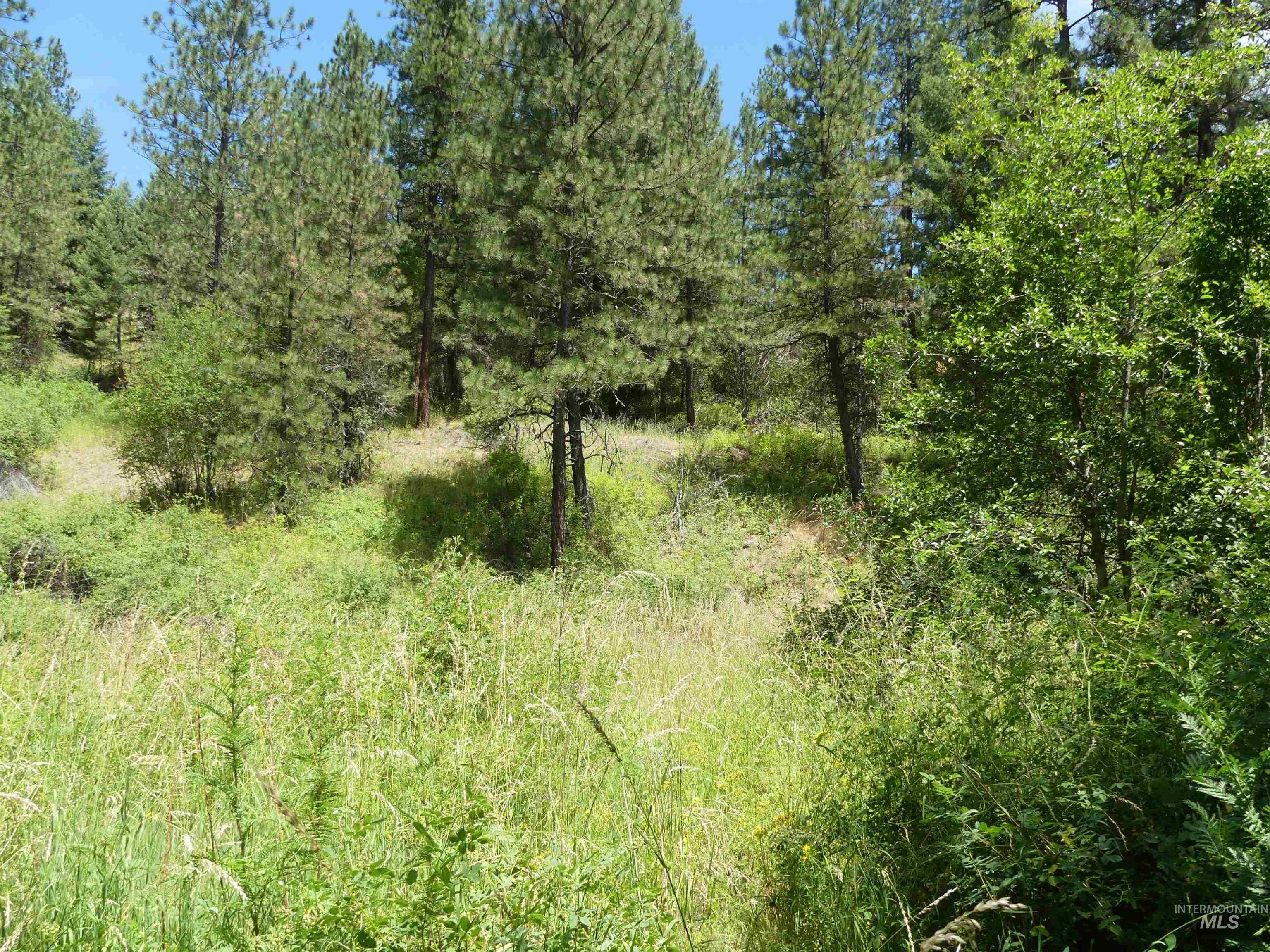 46601 Little Canyon Rd Property Photo 17