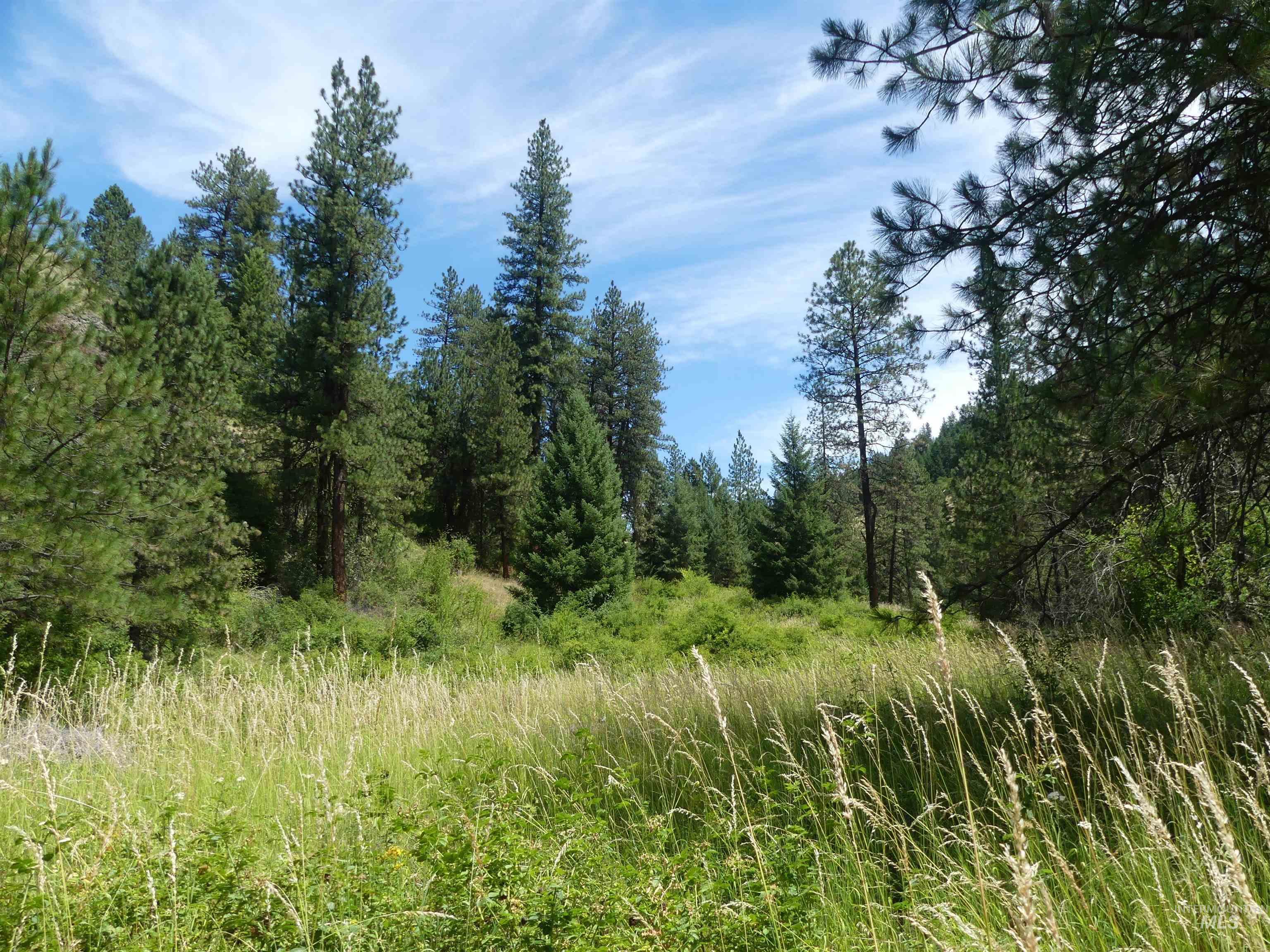 46601 Little Canyon Rd Property Photo 20
