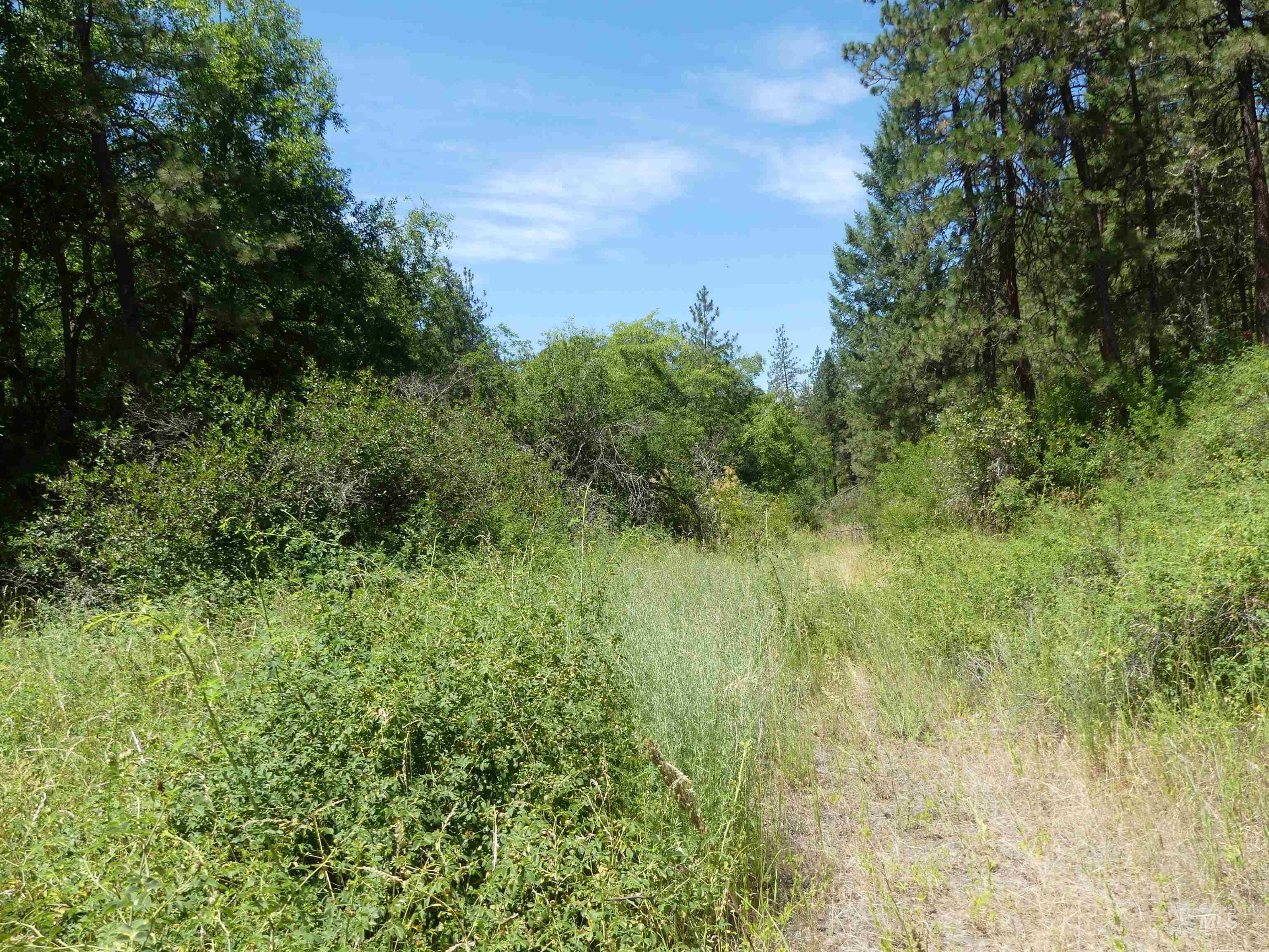 46601 Little Canyon Rd Property Photo 21