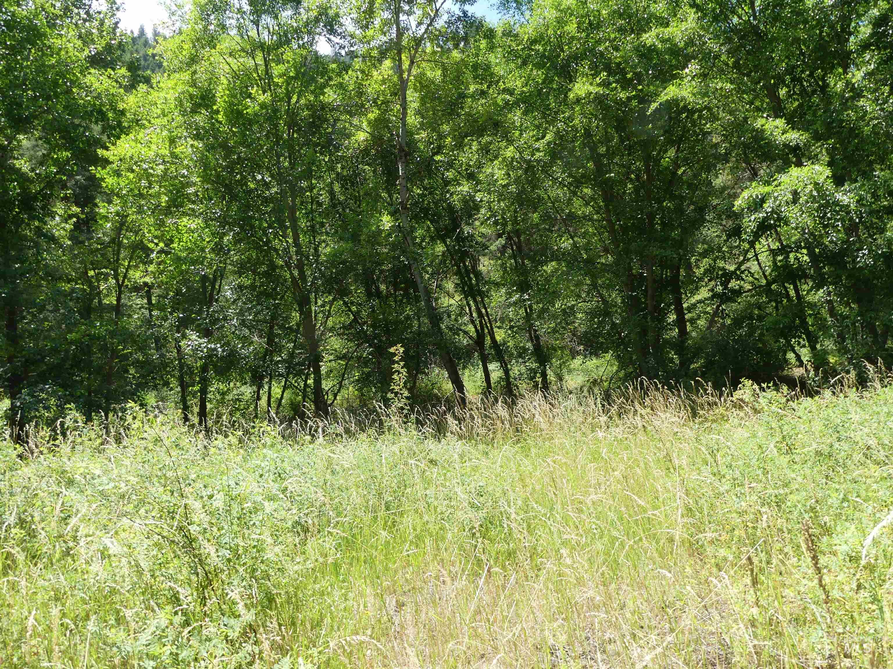 46601 Little Canyon Rd Property Photo 22