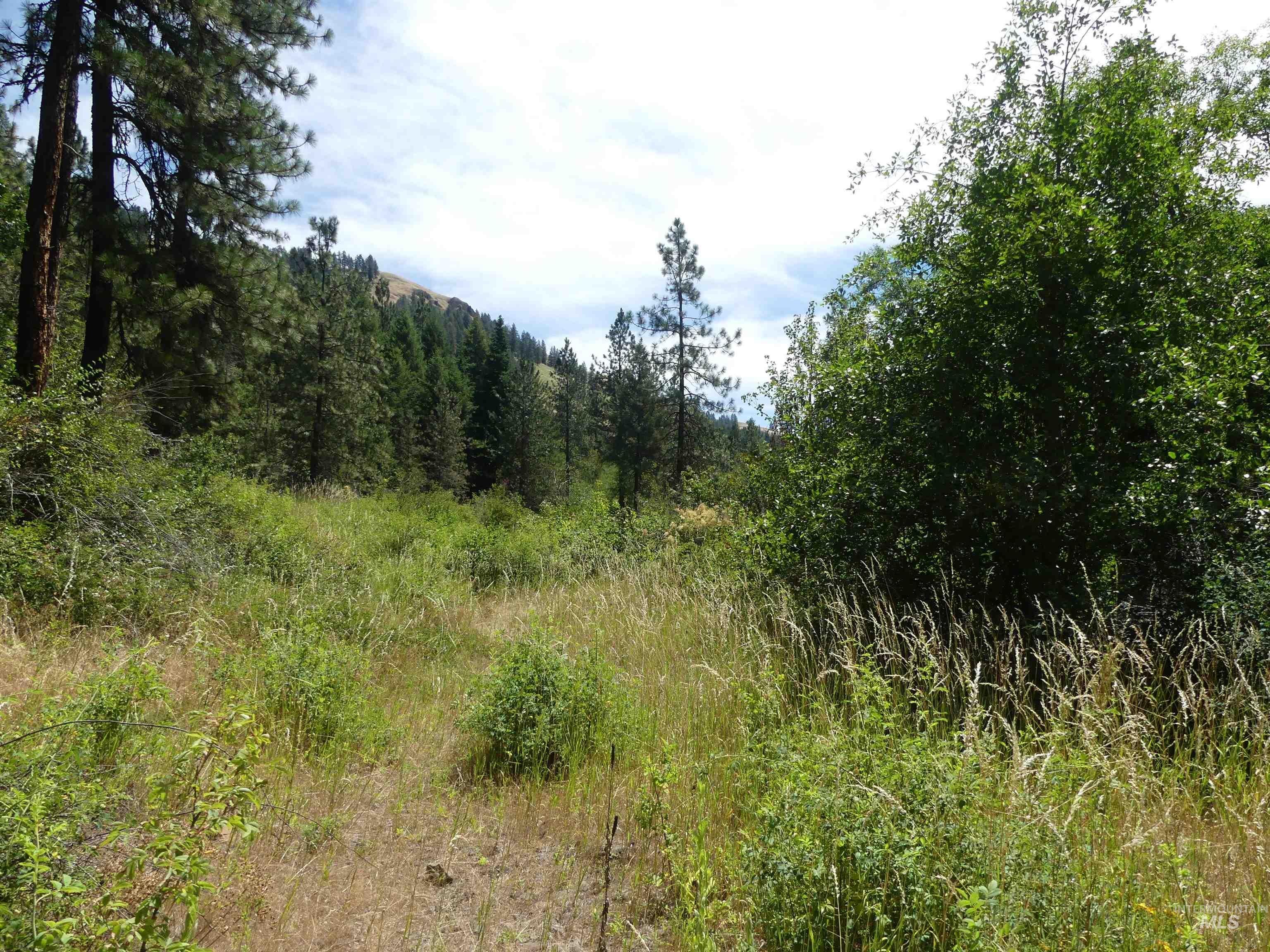 46601 Little Canyon Rd Property Photo 23