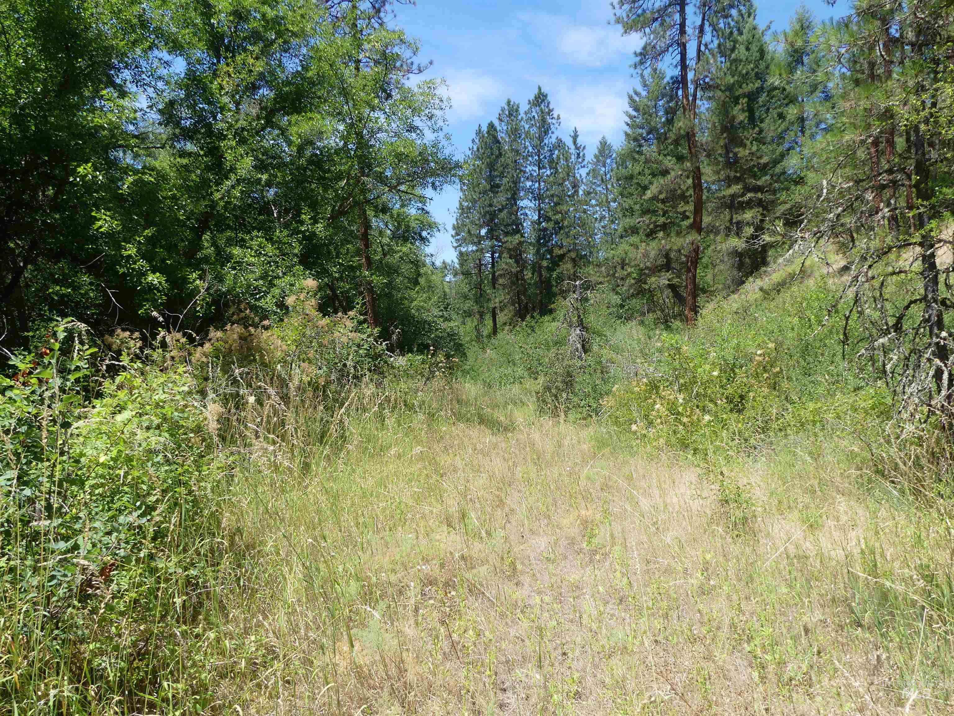 46601 Little Canyon Rd Property Photo 24