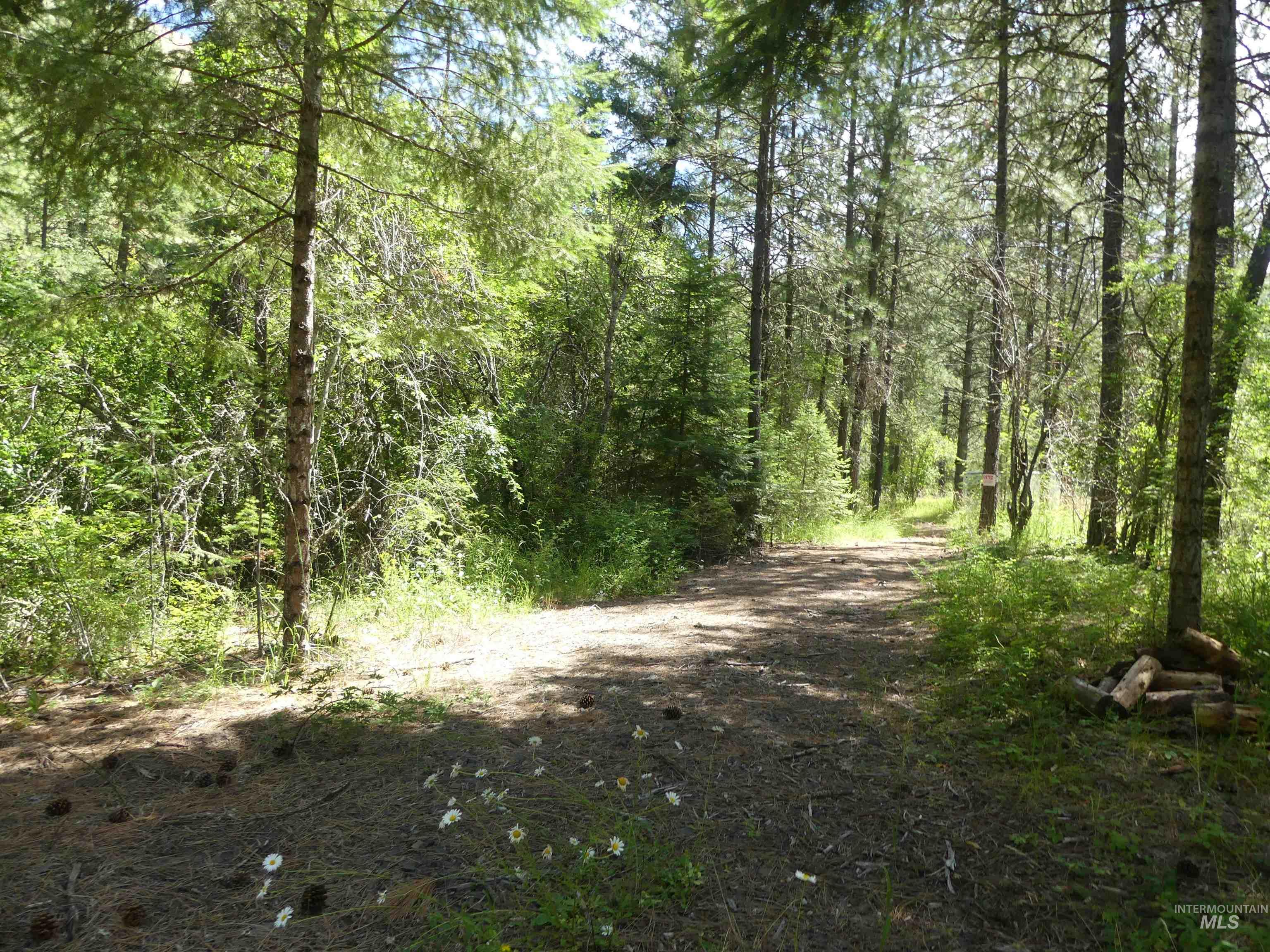 46601 Little Canyon Rd Property Photo 28