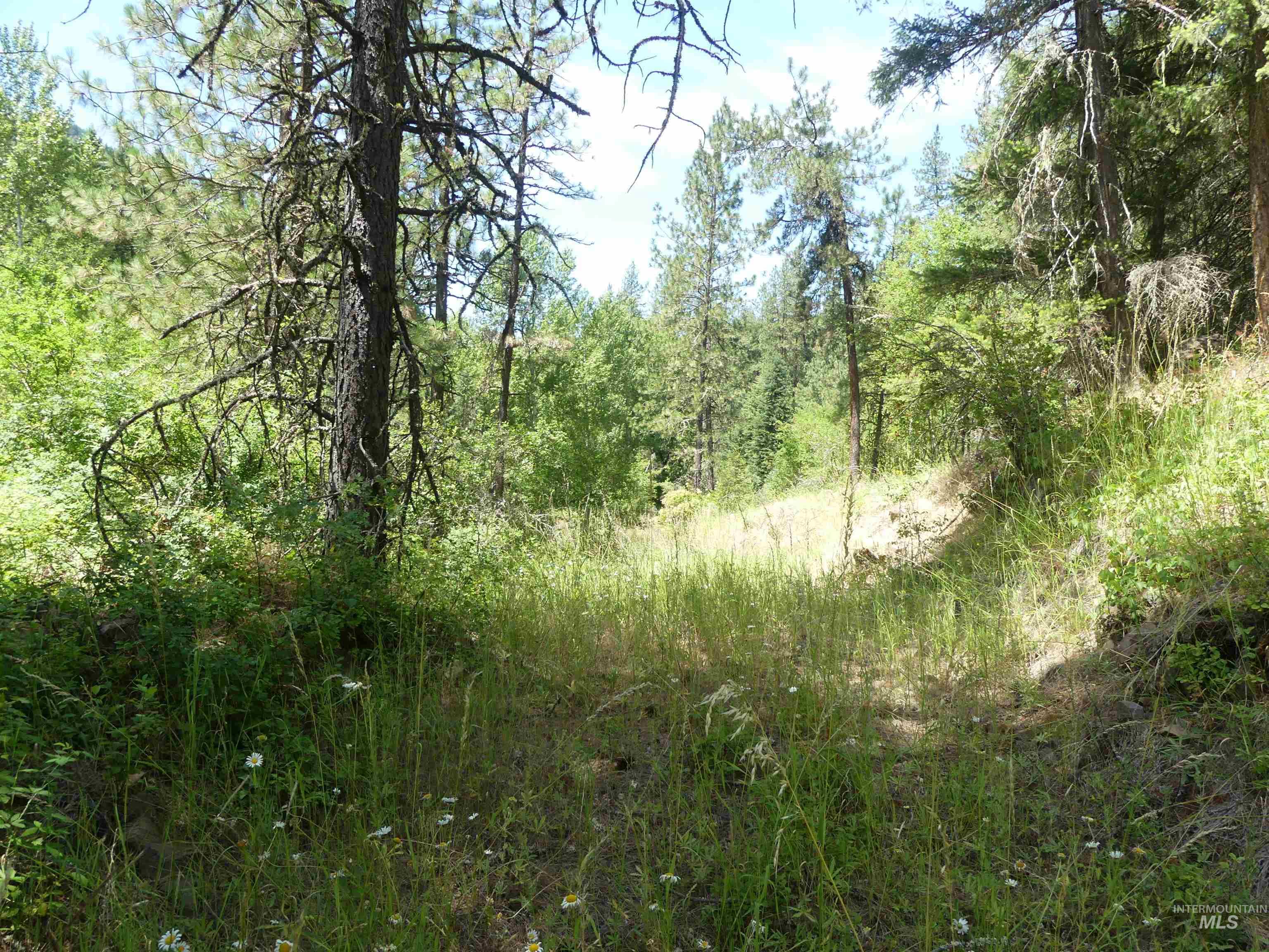 46601 Little Canyon Rd Property Photo 29