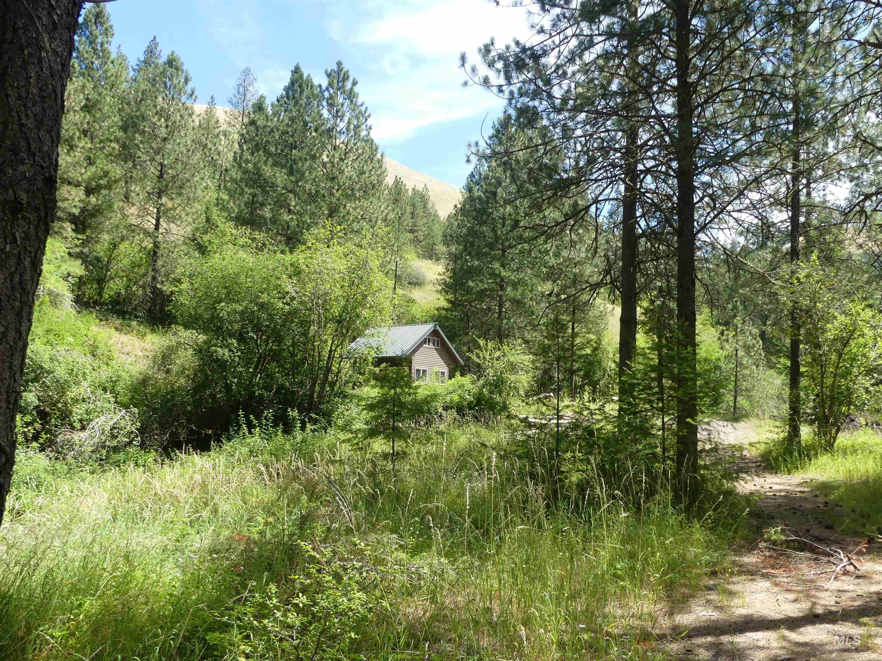 46601 Little Canyon Rd Property Photo 30