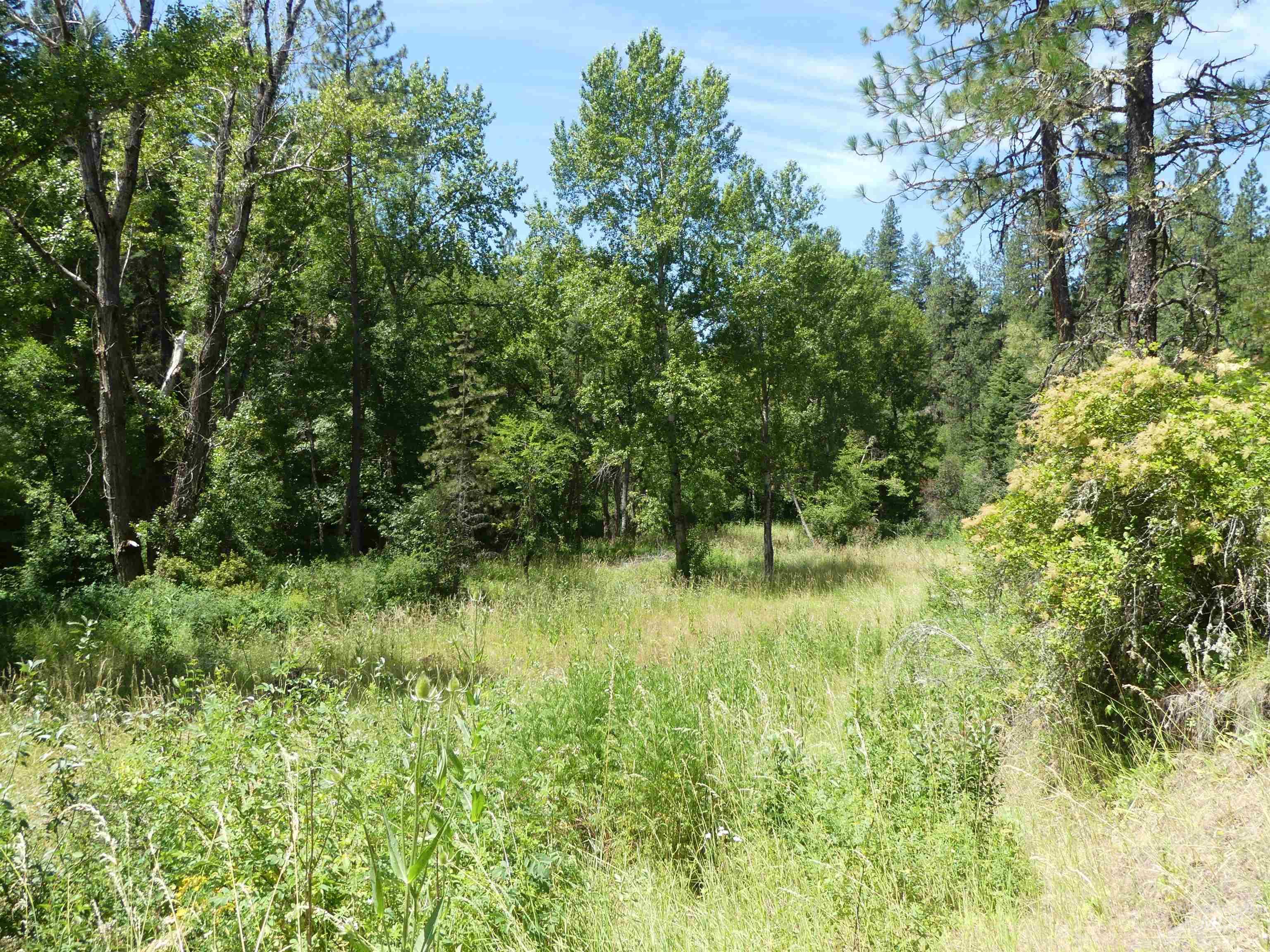 46601 Little Canyon Rd Property Photo 31