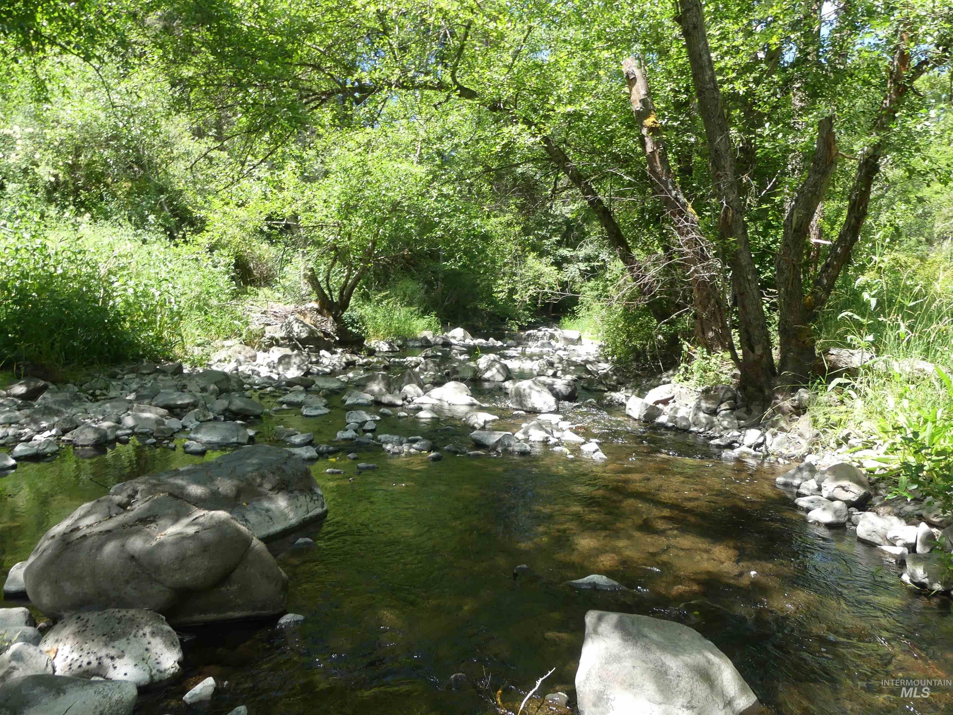 46601 Little Canyon Rd Property Photo 34