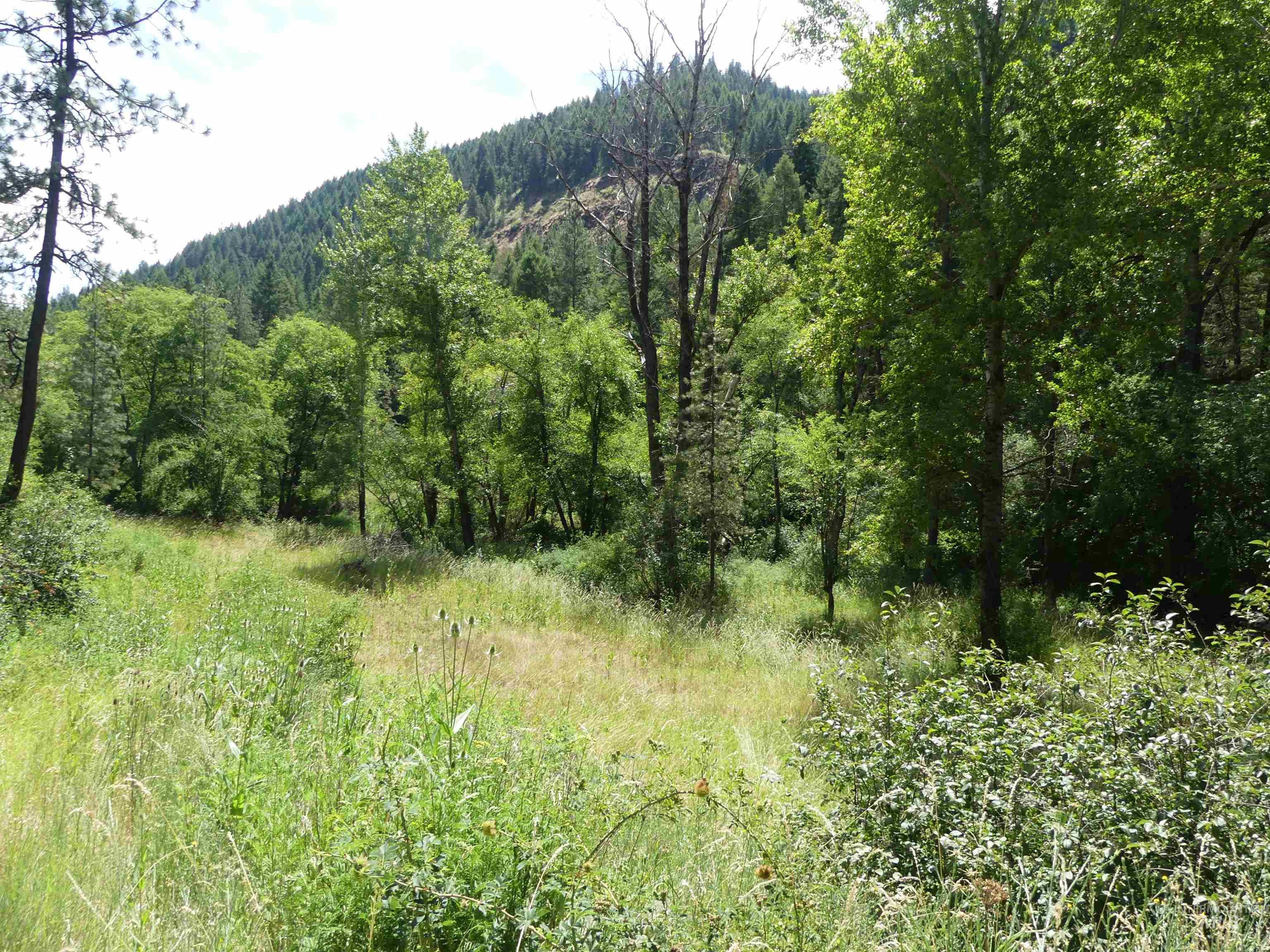 46601 Little Canyon Rd Property Photo 38