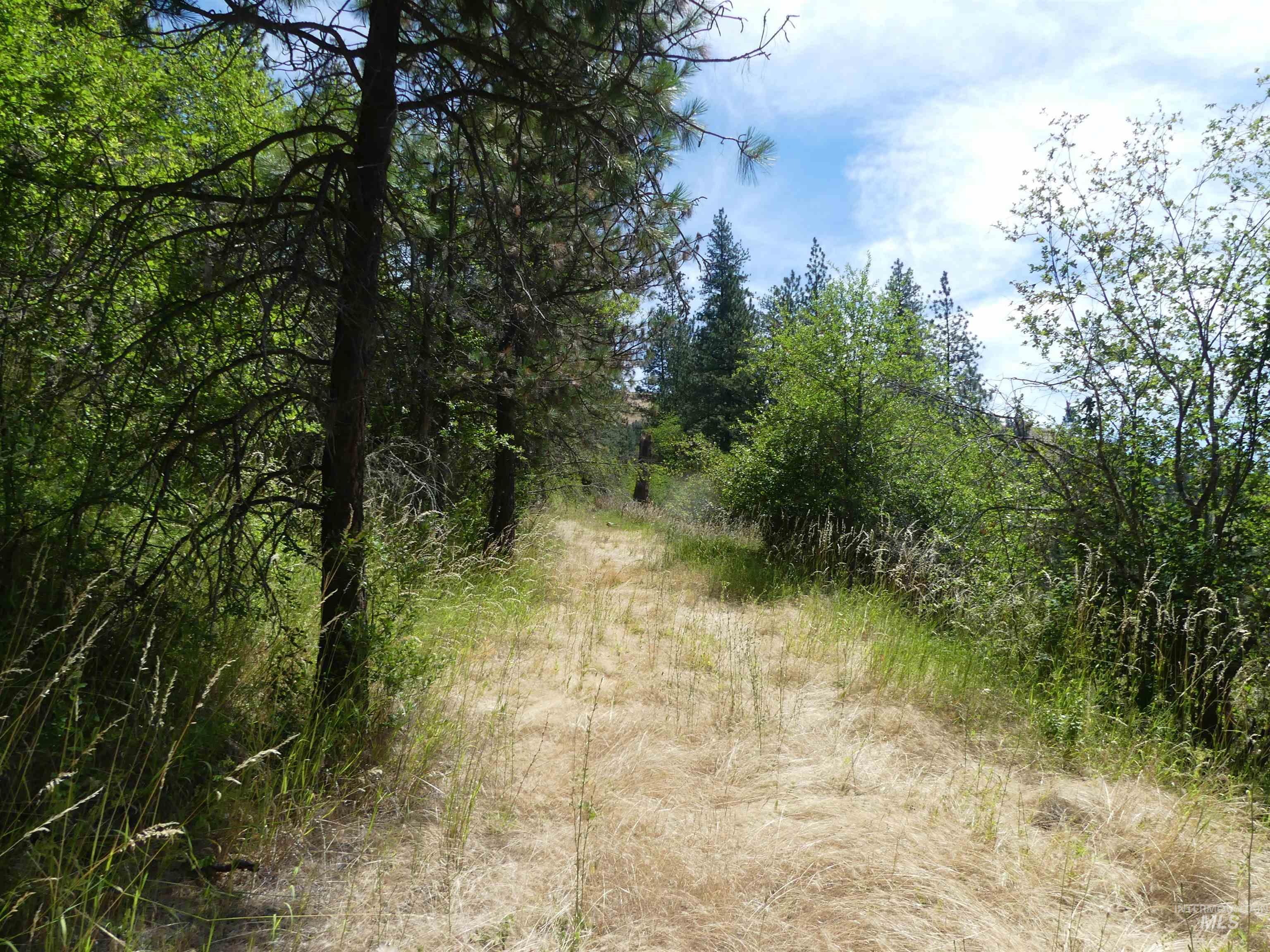 46601 Little Canyon Rd Property Photo 40