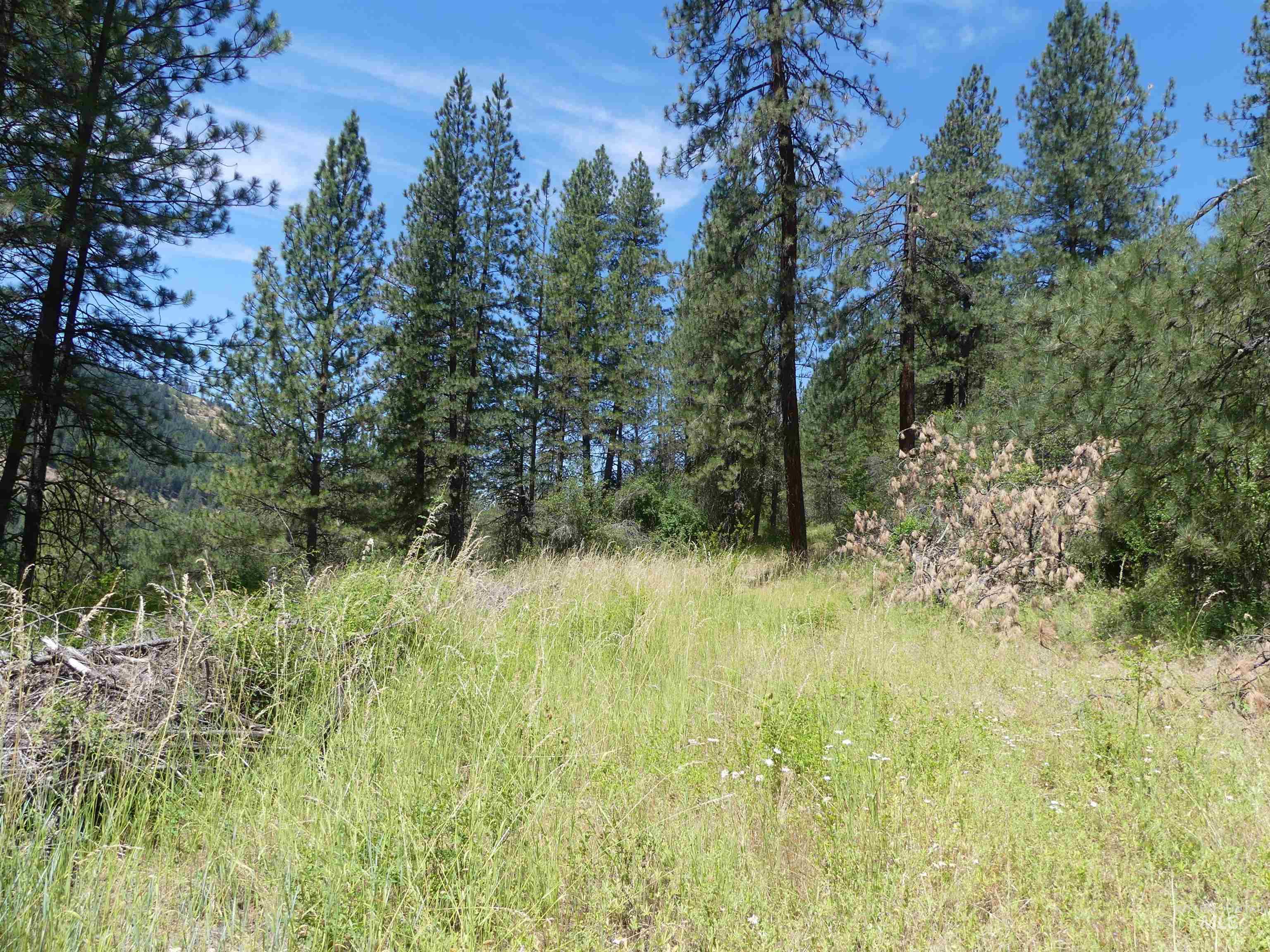 46601 Little Canyon Rd Property Photo 41