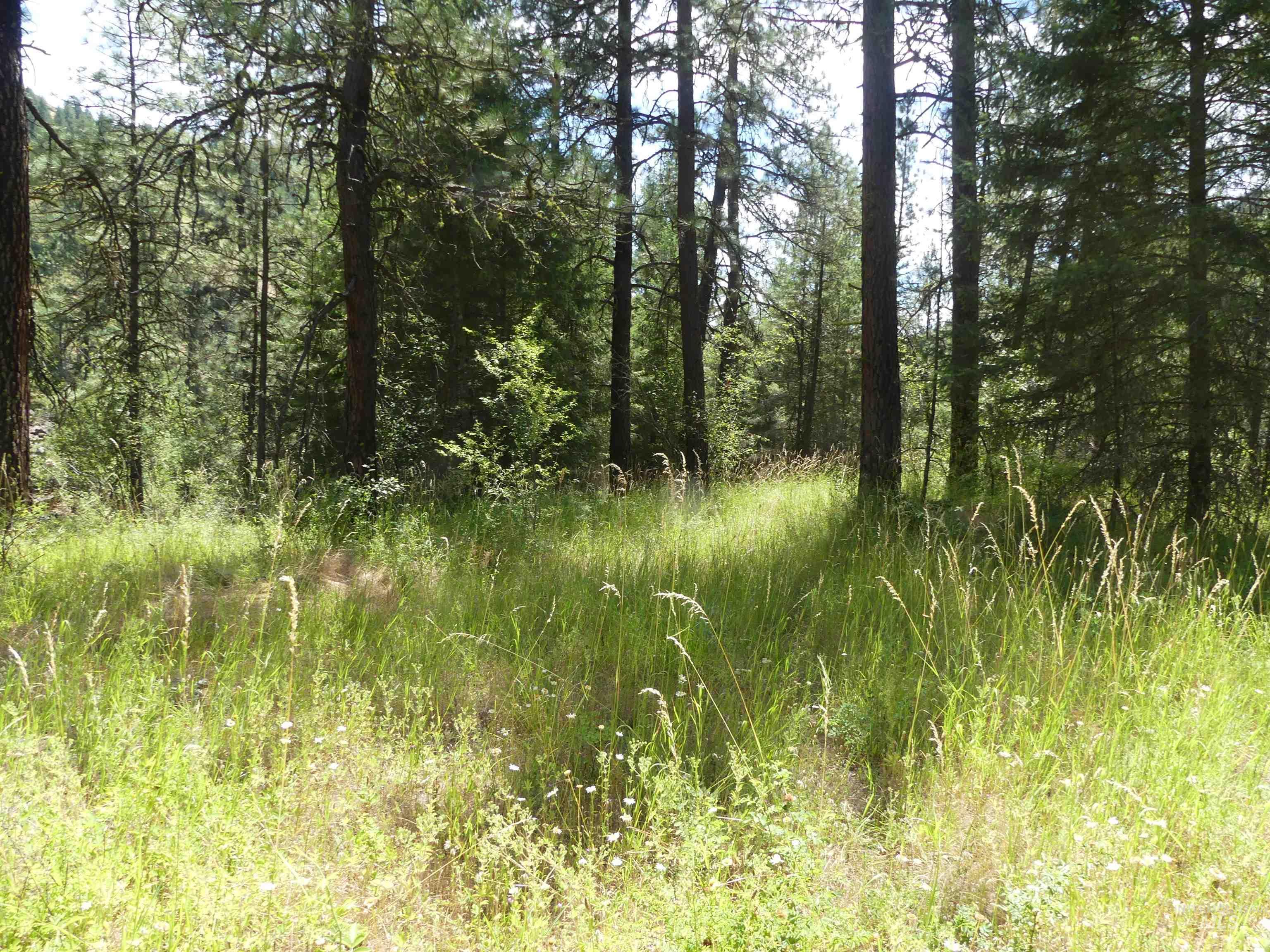 46601 Little Canyon Rd Property Photo 42