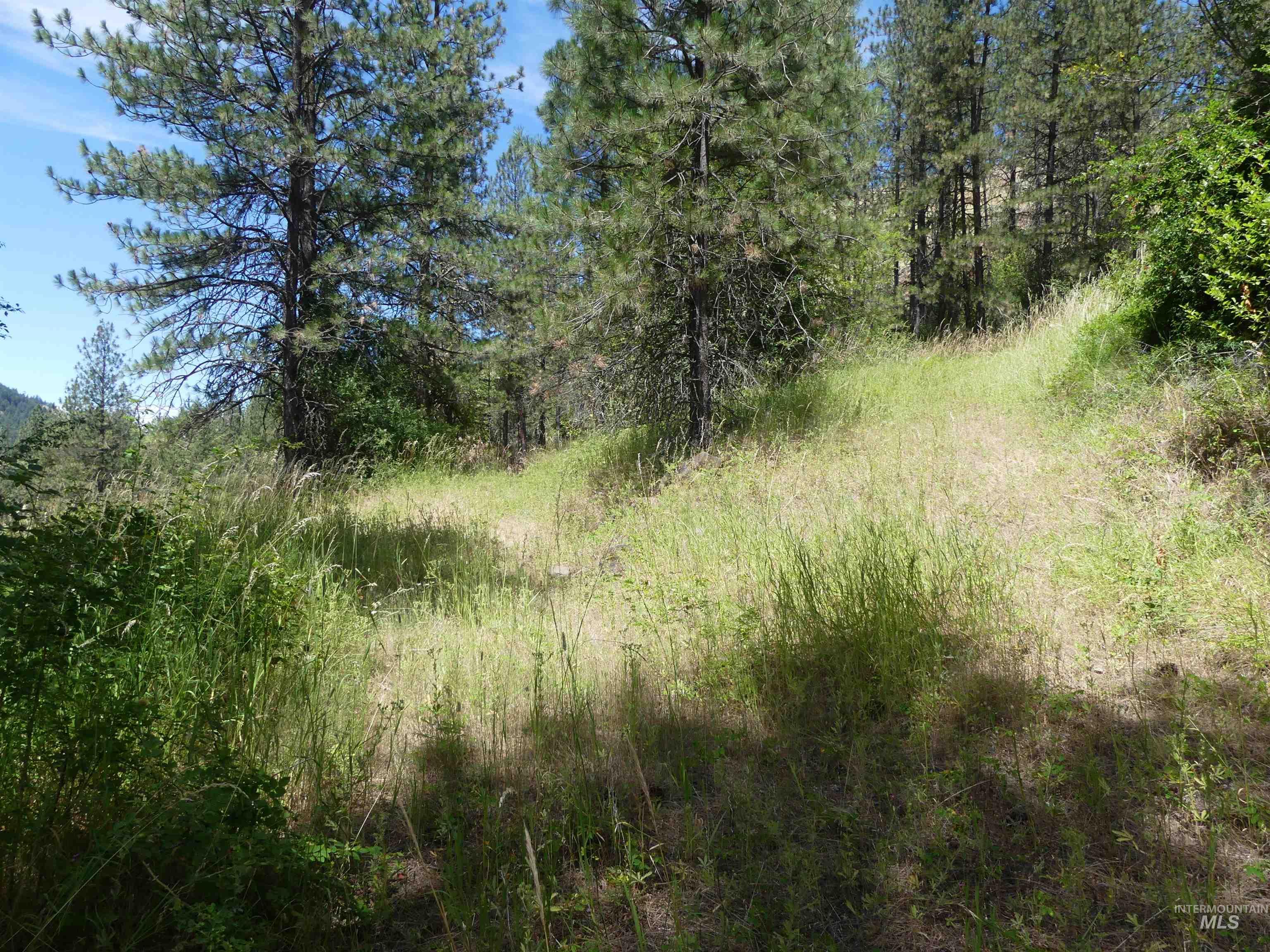 46601 Little Canyon Rd Property Photo 43