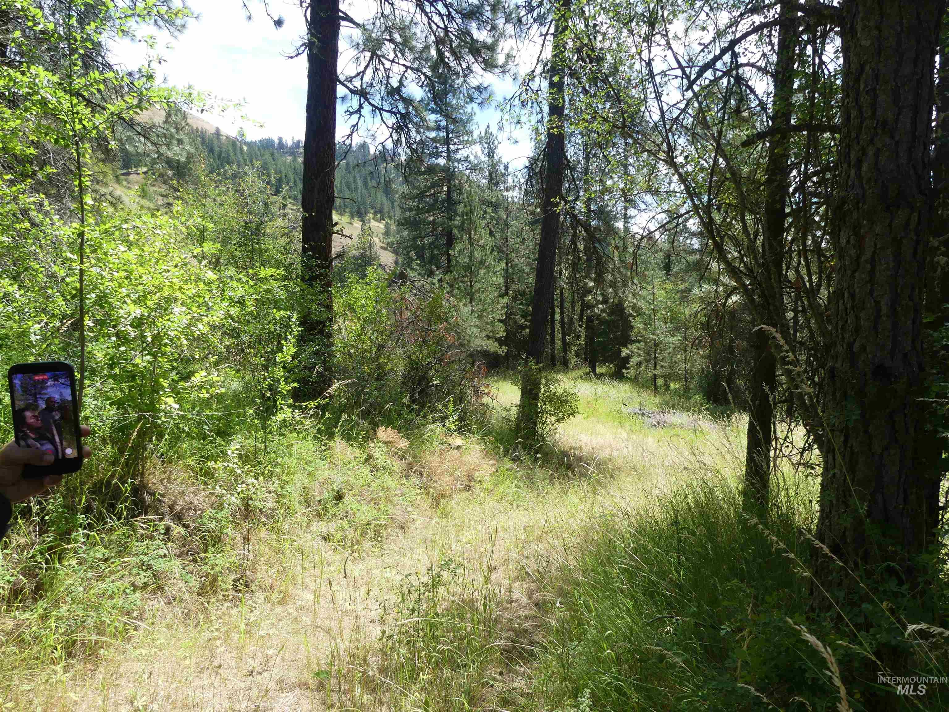 46601 Little Canyon Rd Property Photo 44