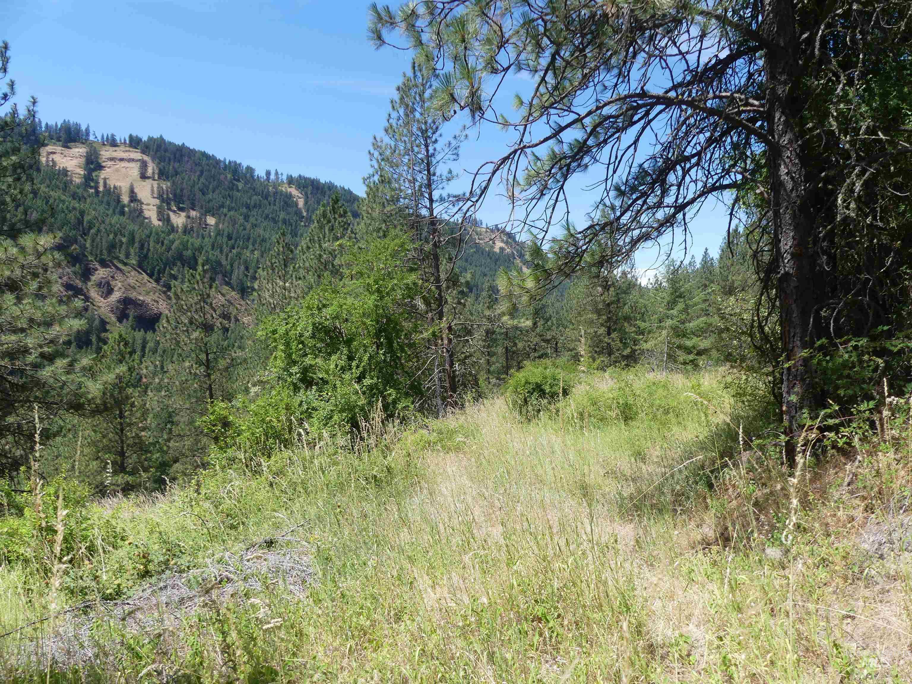 46601 Little Canyon Rd Property Photo 45