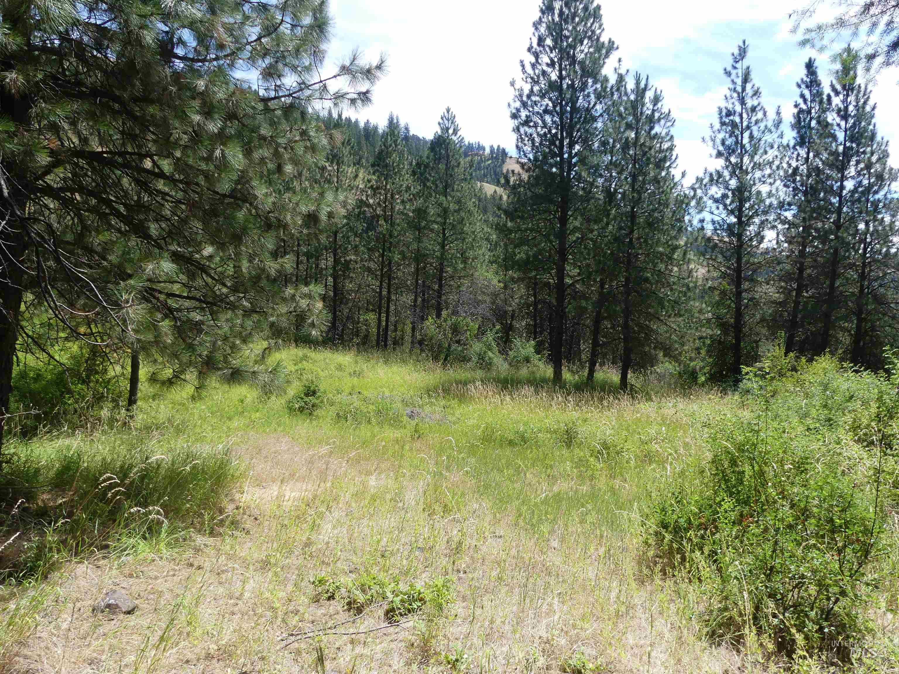 46601 Little Canyon Rd Property Photo 47
