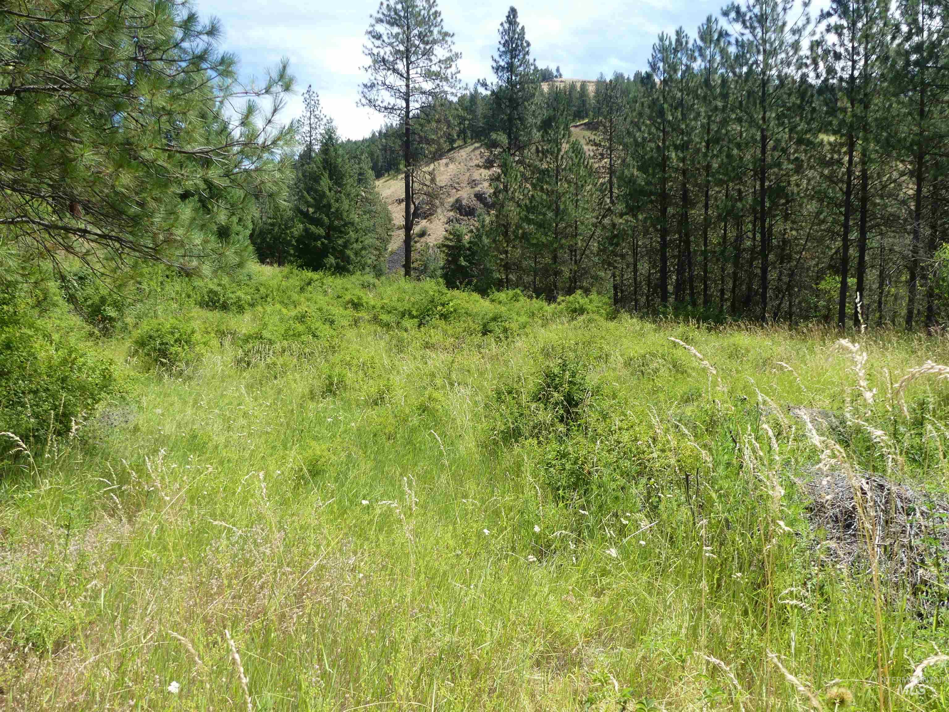 46601 Little Canyon Rd Property Photo 48